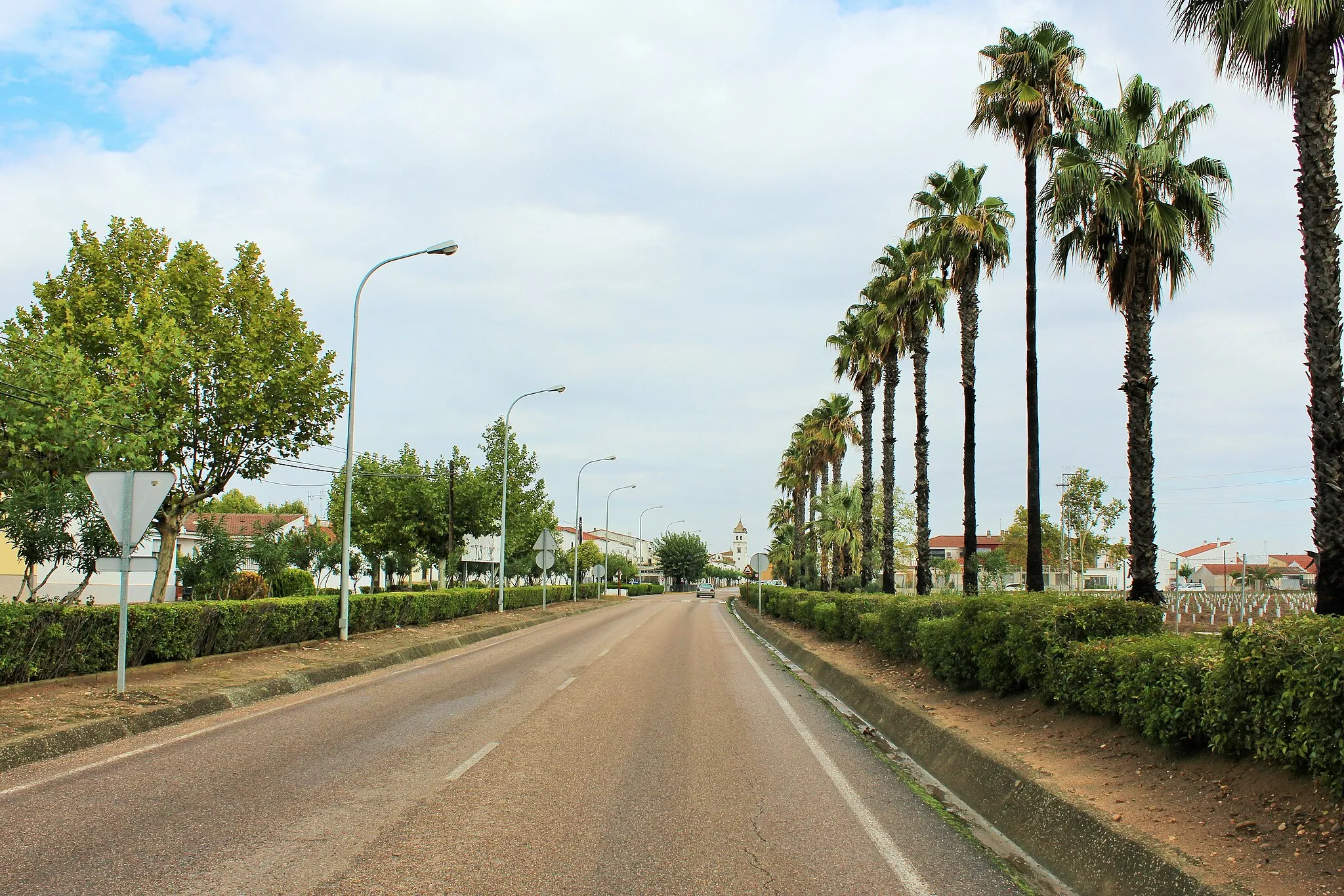 Photo showing: Guadiana del Caudillo-Avenida de entrada por el sur.