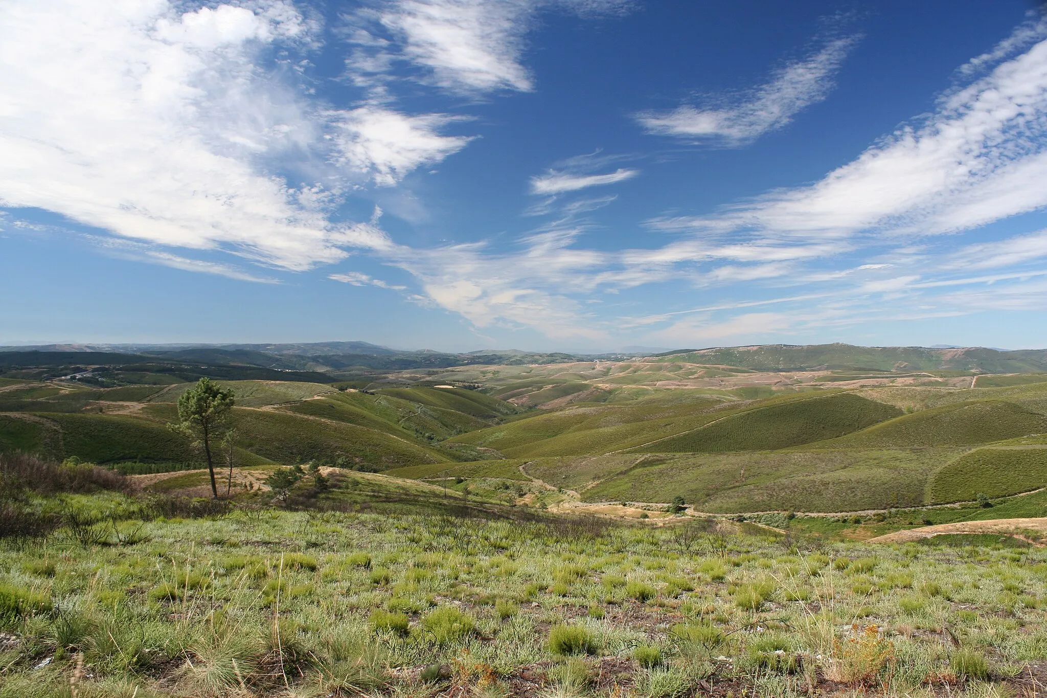 Photo showing: Entre A Gudiña e Vilariño de Conso