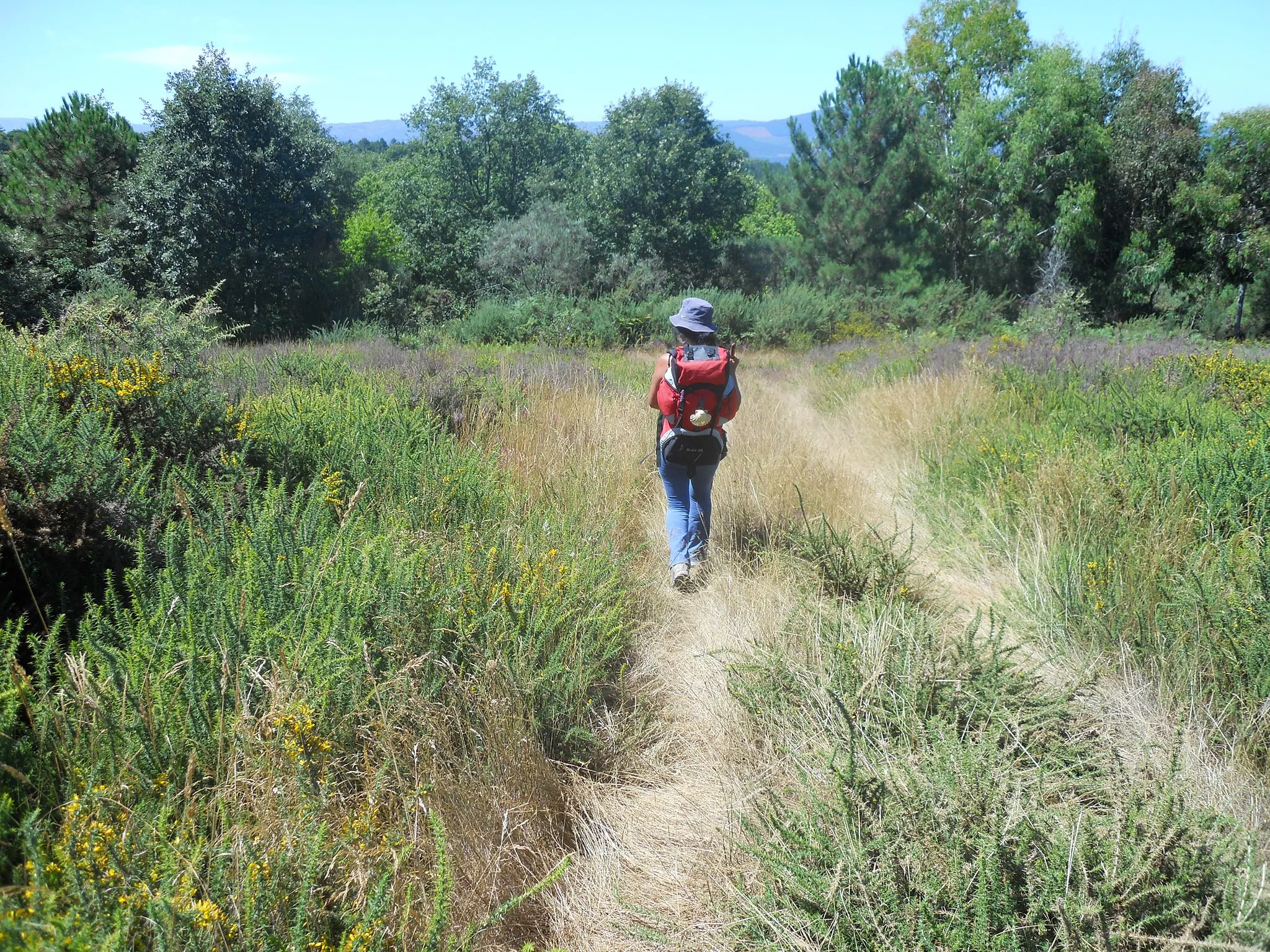 Photo showing: Camino Portugués de la Vía de la Plata