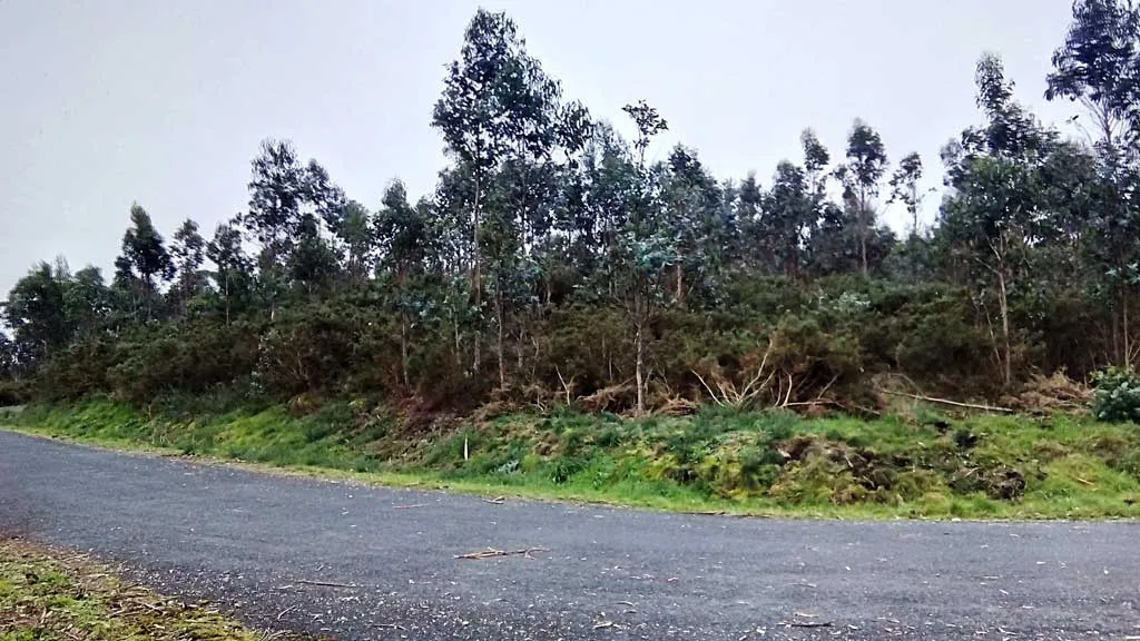 Photo showing: Vista do castro de Ancos dende a pista forestal.