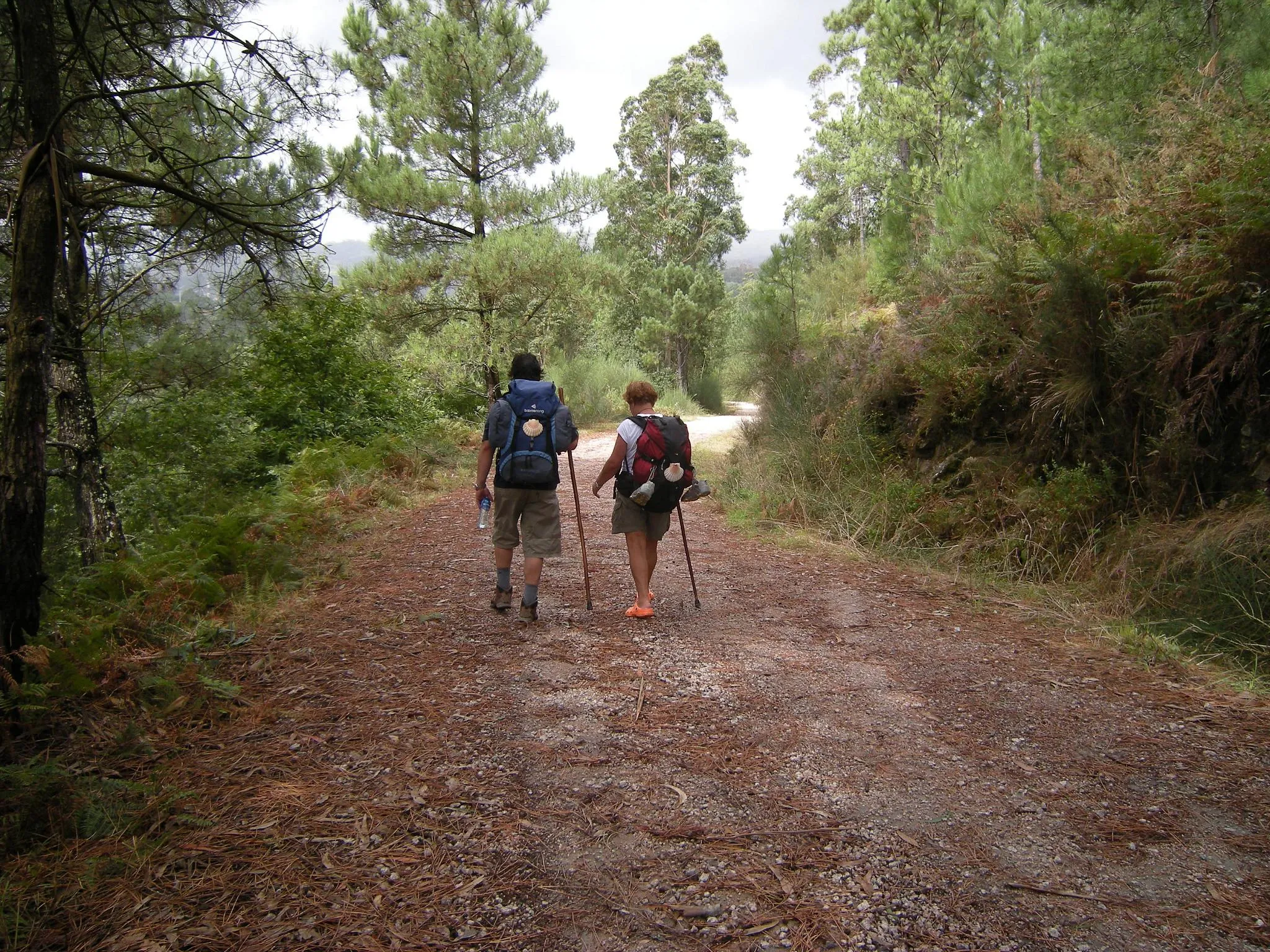 Photo showing: Camino de Santiago - Camino Portugués