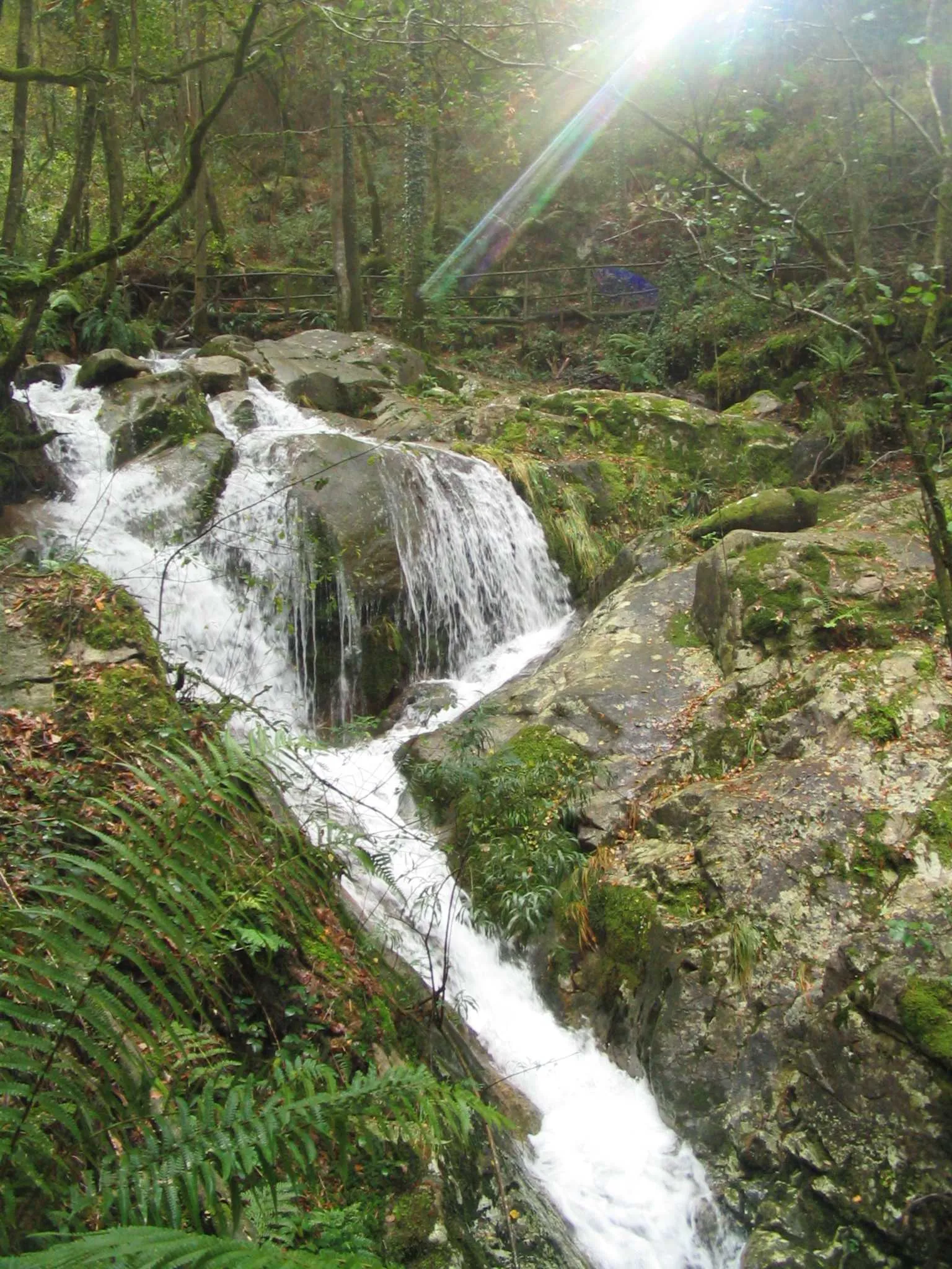 Photo showing: foto de la fervenza(cascada) del Rio dos Ladrons o da Fraga en Moaña.