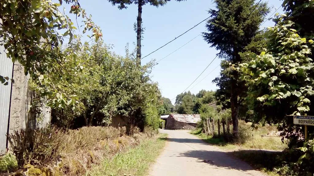 Photo showing: Vista de Boipardo, Curtis.