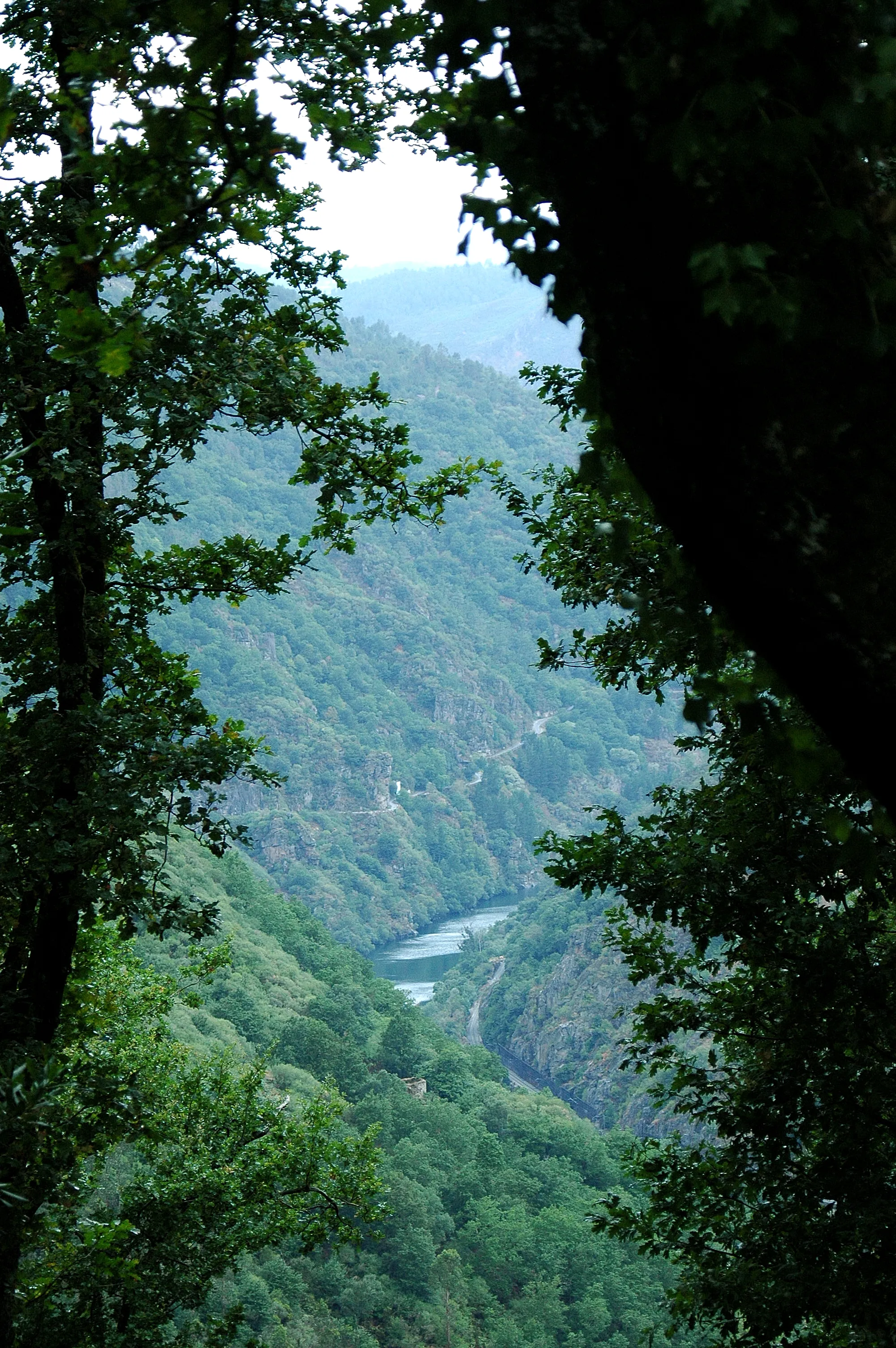 Photo showing: Estrenando el Parador de San Estebo de Ribas do Sil, esta vista del cañón del Sil entre árboles está en la bajada hacia el monte que hay si te sitúas mirando al parador, a mano izquierda. El lugar de Luíntra queda en la parroquia de San Martiño de Nogueira de Ramuín en el ayuntamiento de Nogueira de Ramuín.