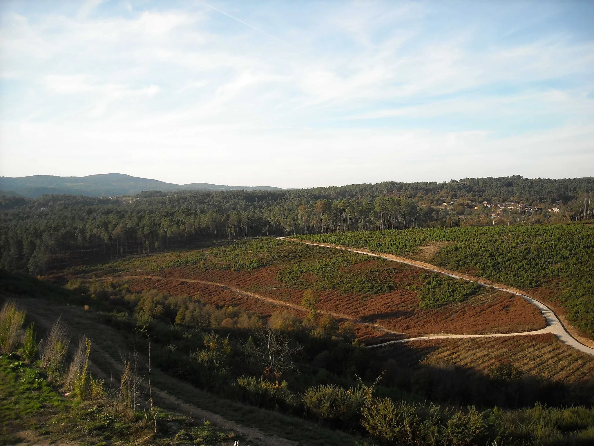 Photo showing: O Nogueiro, O Mundil, Cartelle, Galicia (Spain)