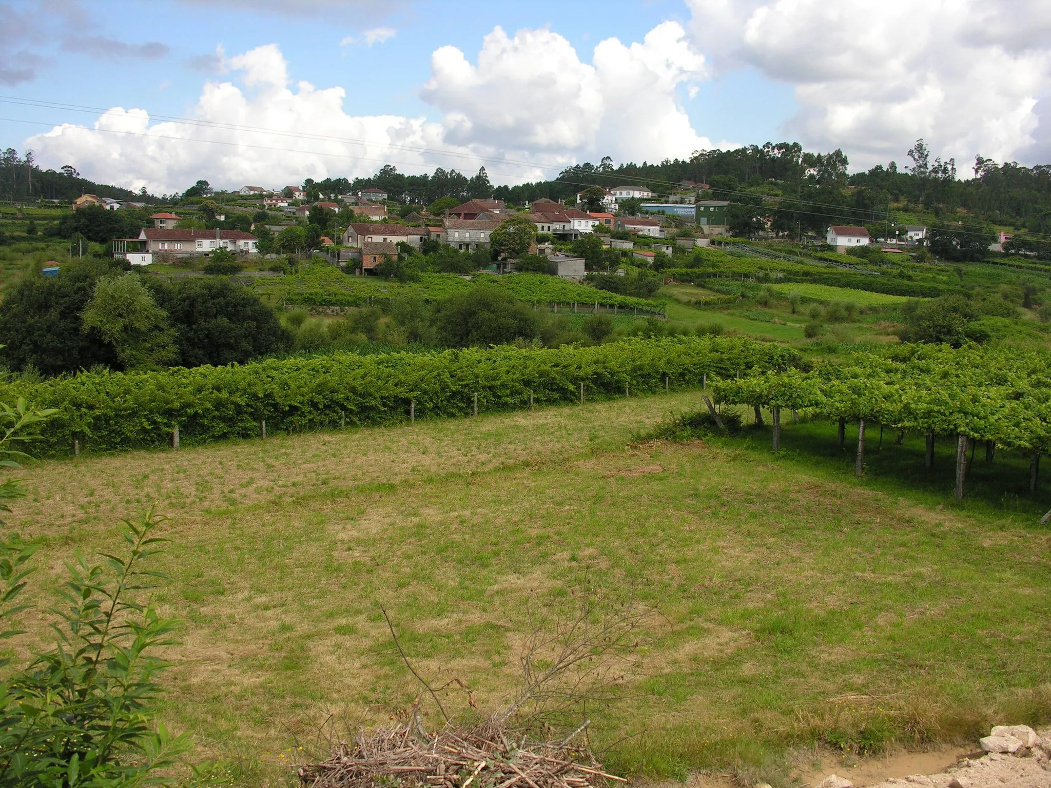 Photo showing: Paisaxe en Moraña, Galicia