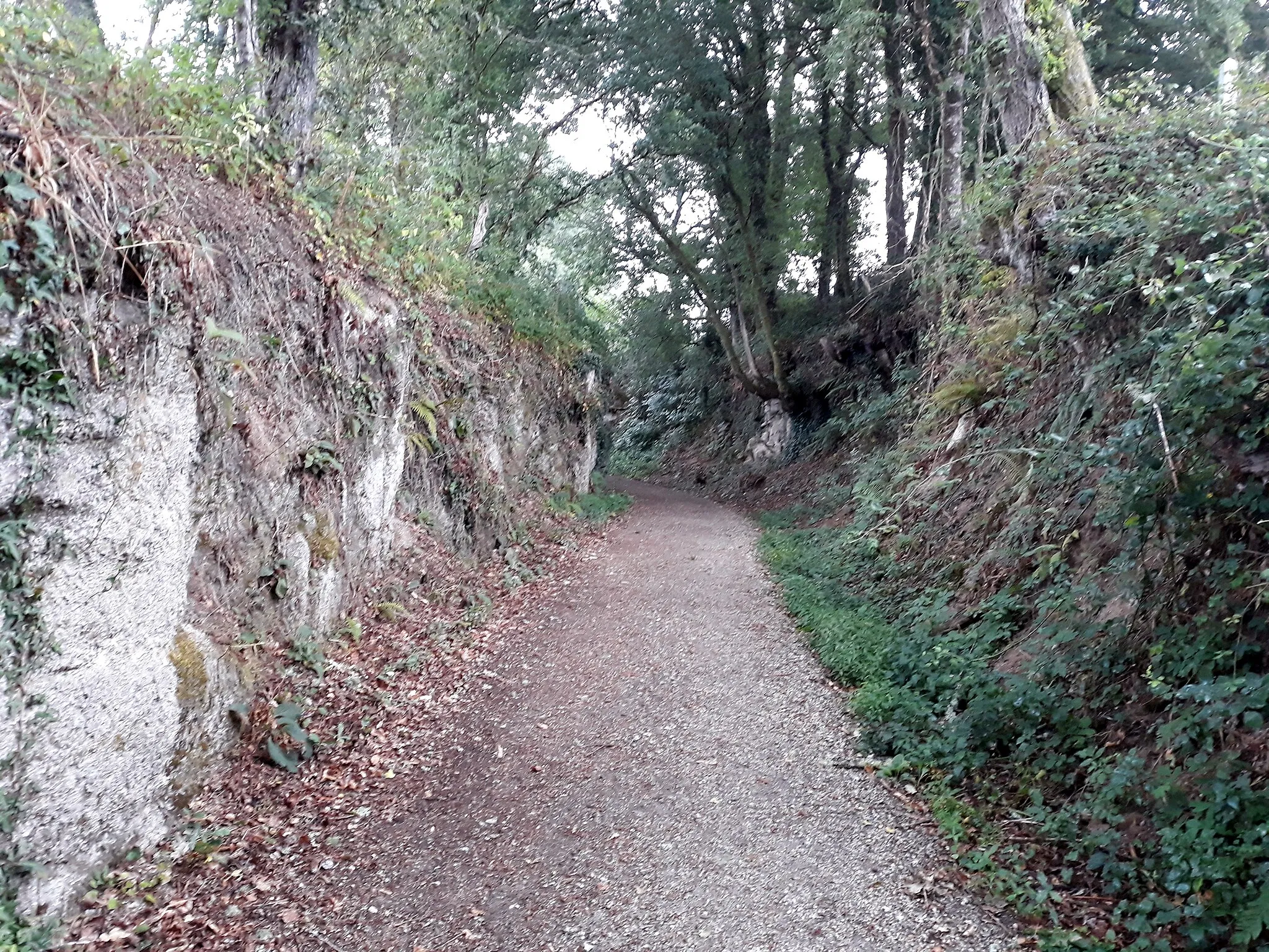 Photo showing: Primitive Way of Saint James, San Miguel do Camiño, Castroverde, Lugo province, Galicia, Spain.
