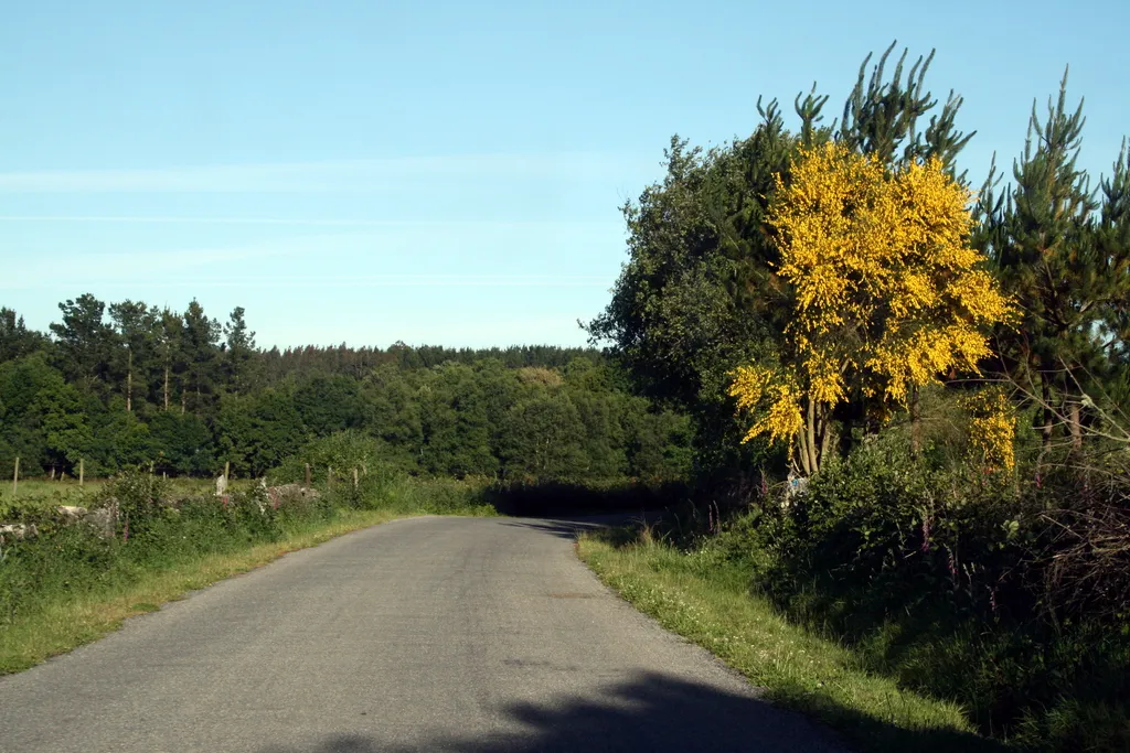 Photo showing: Carretera hacia Anafreita