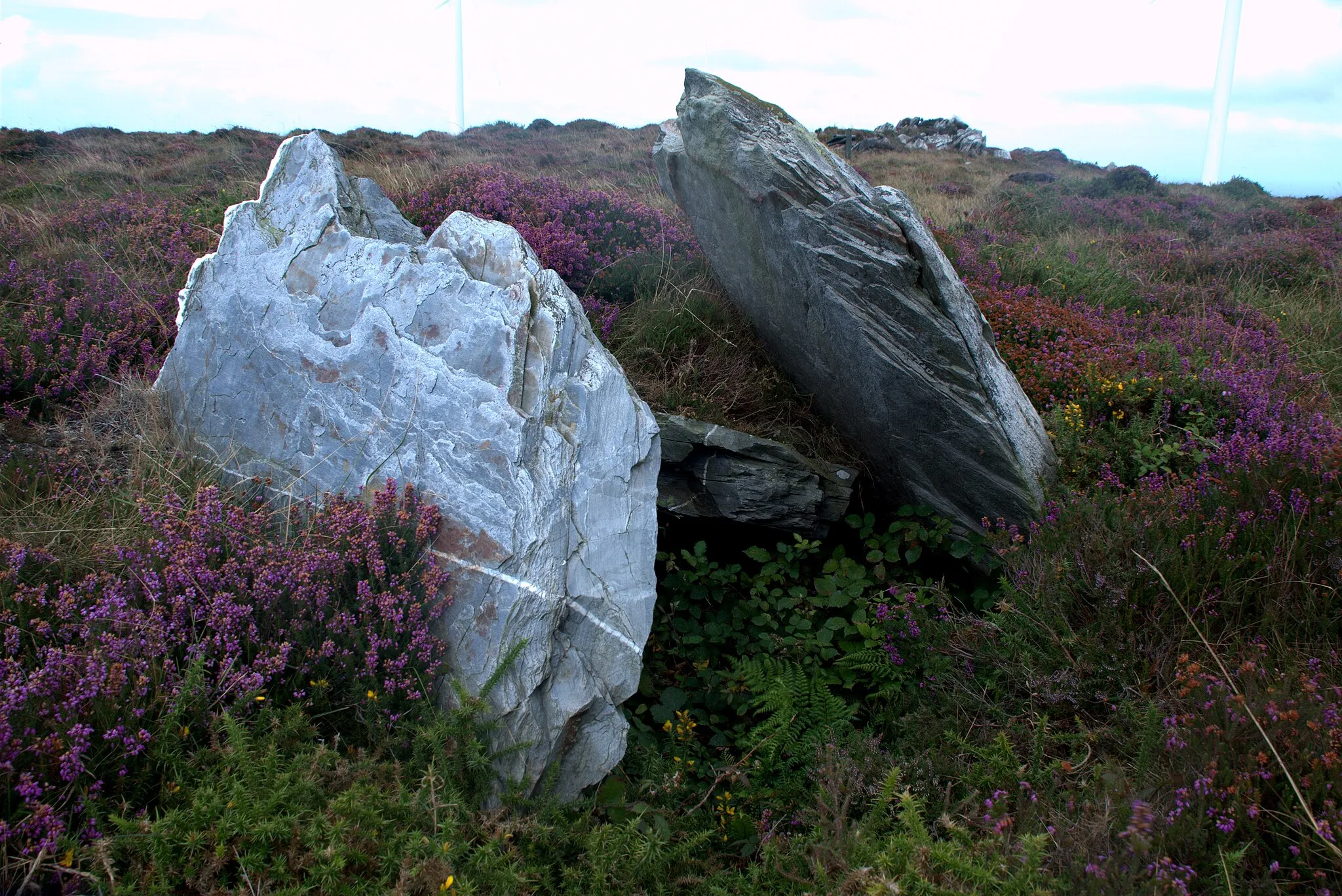 Photo showing: Anta chamada de "Forno dos mouros", nome típico para as antas/dolmens na Galiza e em Portugal.