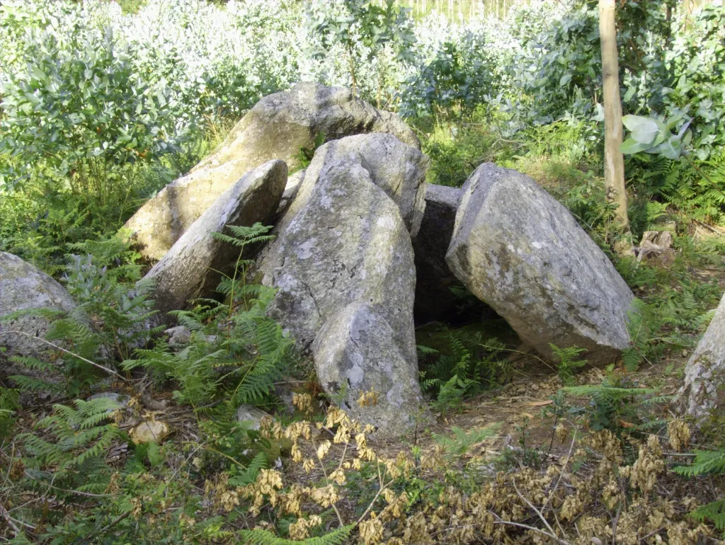 Photo showing: Dolmen Pedra da Lebre
