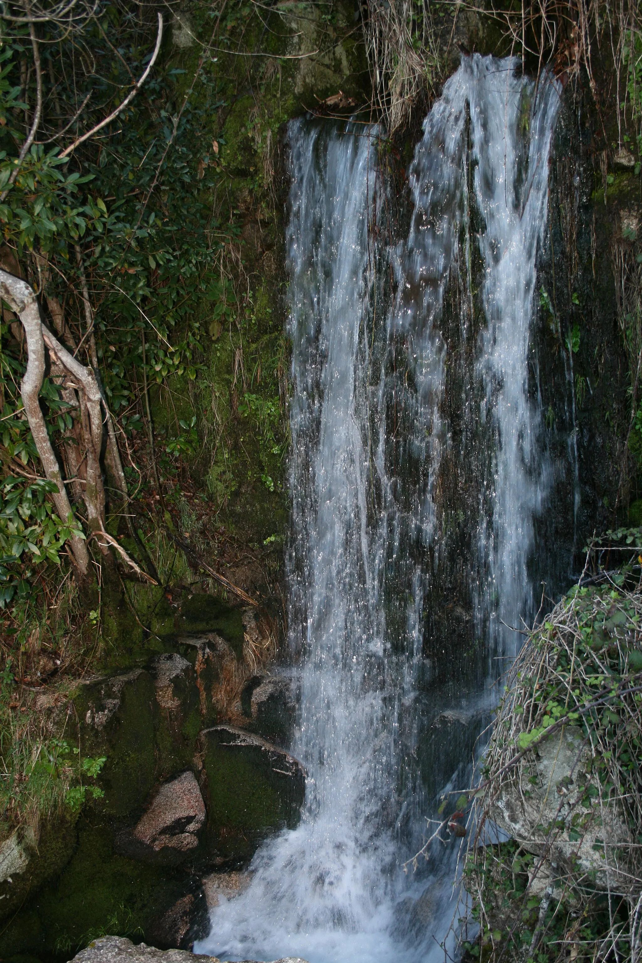Photo showing: Cascada en el Aloia