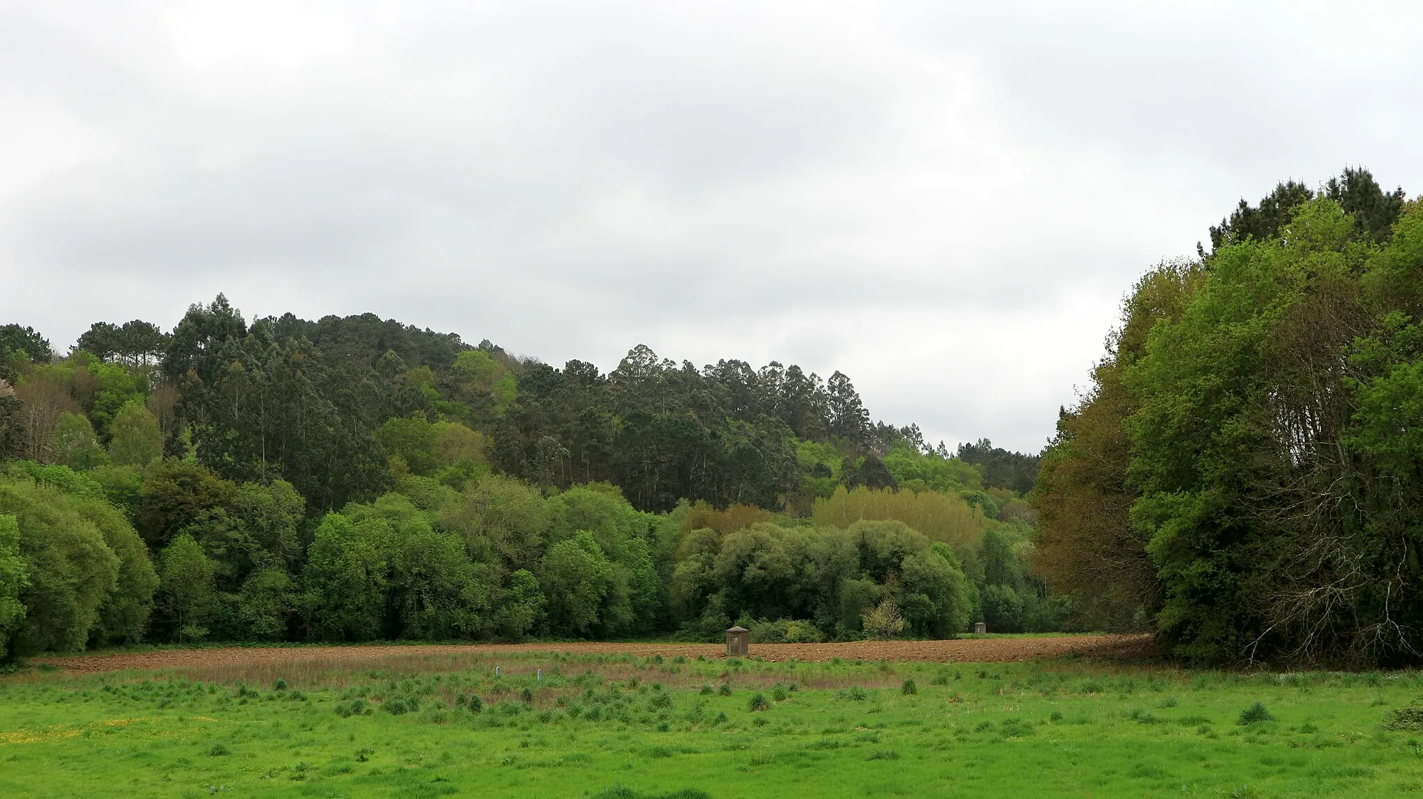 Photo showing: Río Barcés, ao seu paso pola Agra de Damil e Muradelo en Figueiroa e pola Ribeira de Cañás.