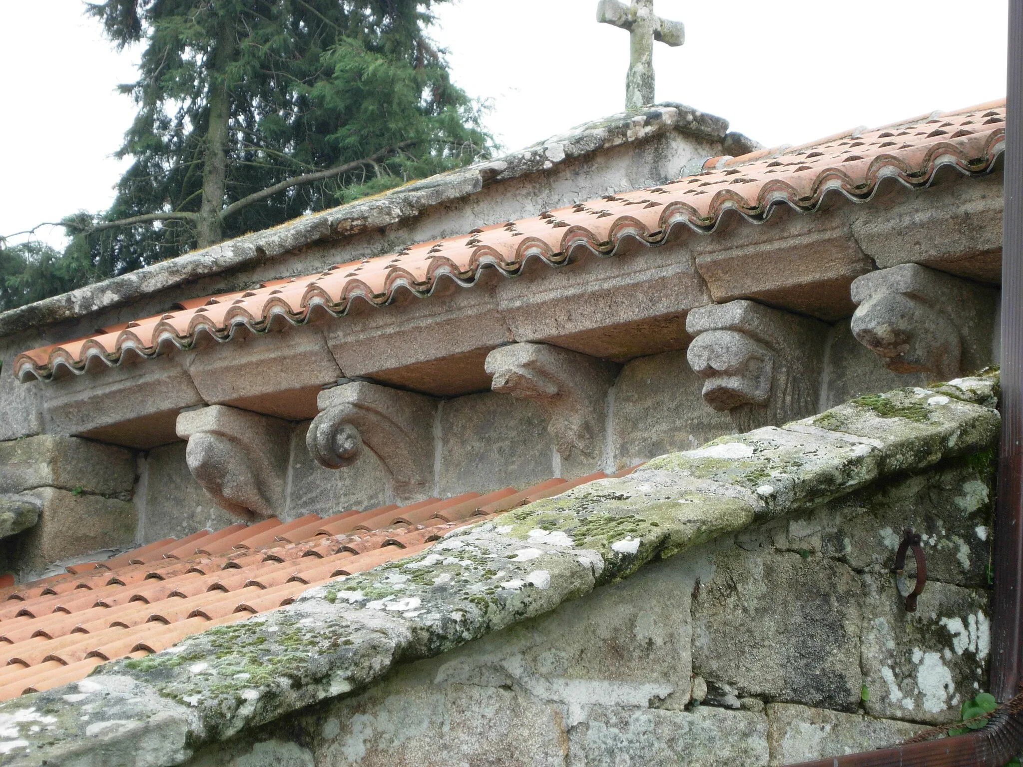 Photo showing: Canzorros da grexa de San Mamede do Castro, Silleda.
