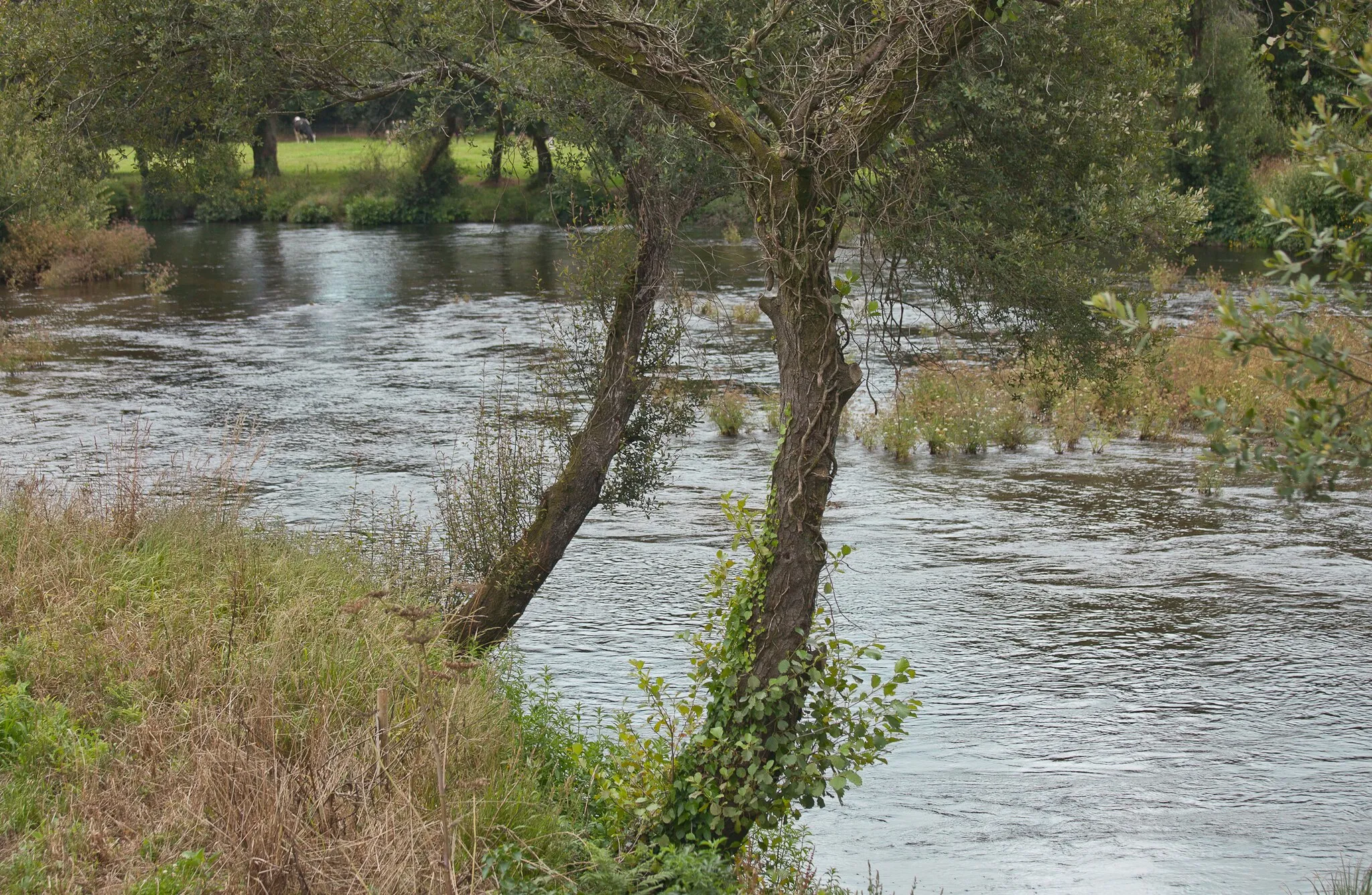 Photo showing: Ponte Olveiroa, Dumbría, Galiza