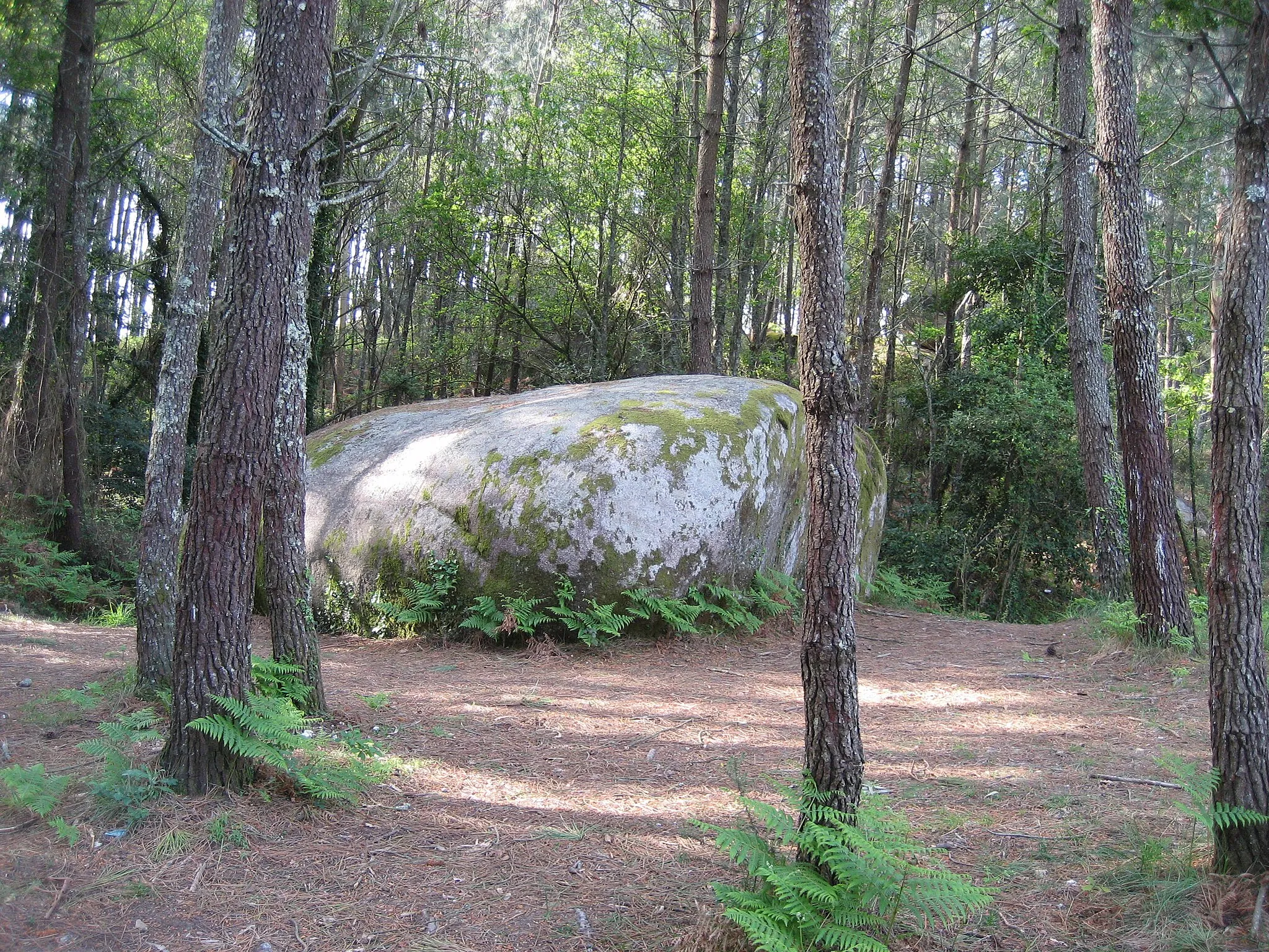 Photo showing: Pedra das Cabras - Ribeira