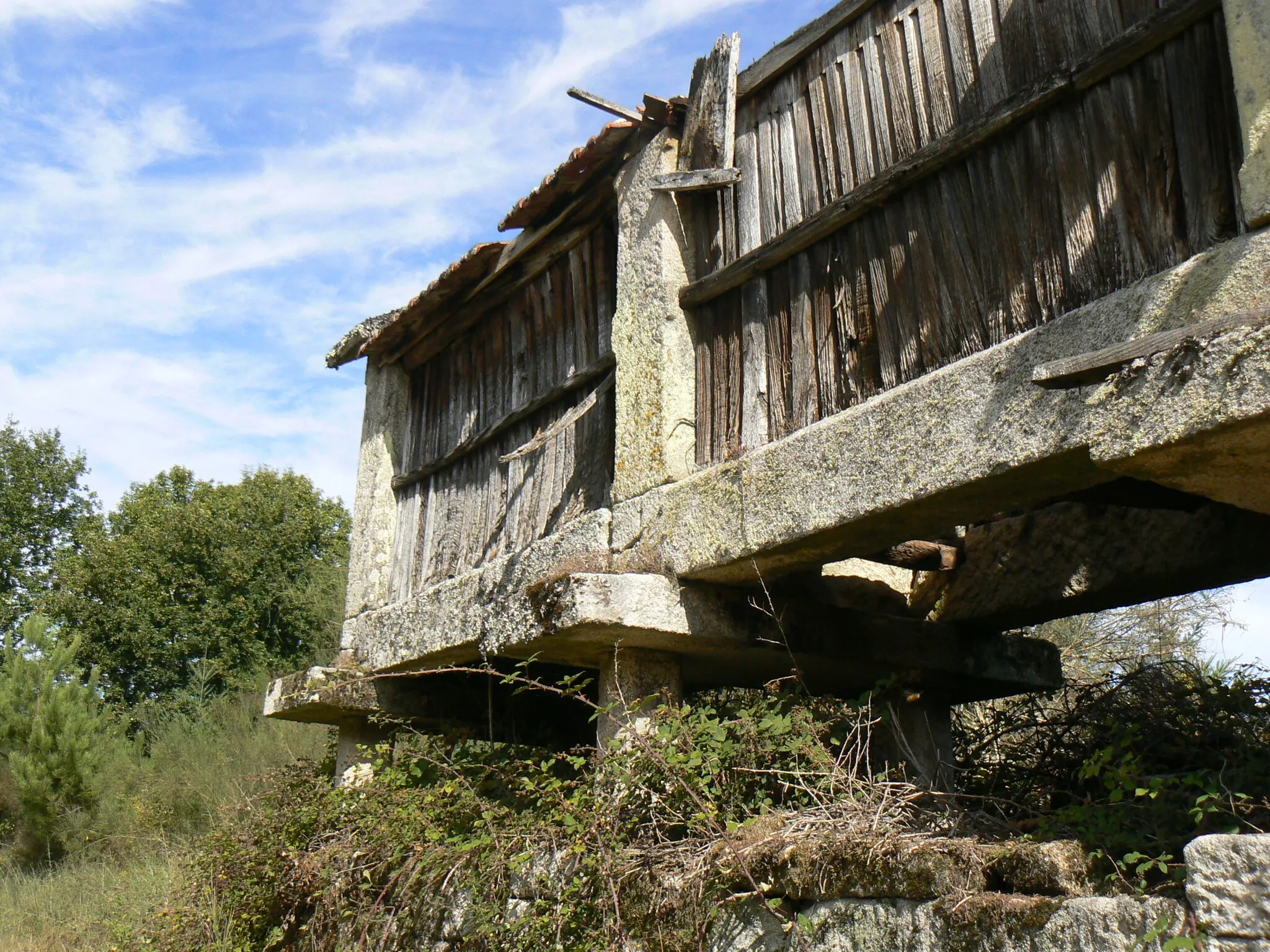 Photo showing: Hórreo en ruinas.