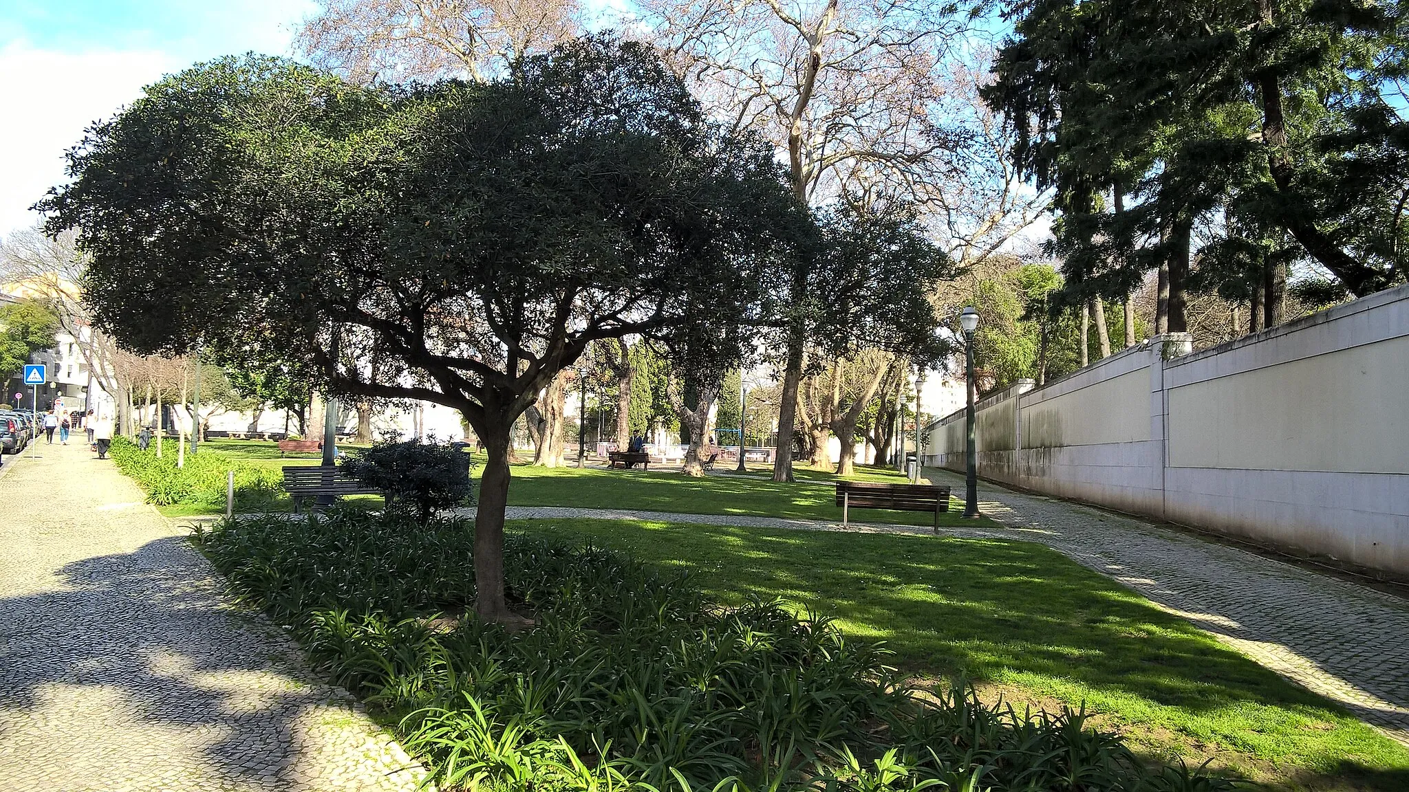 Photo showing: Jardim Elisa Baptista de Sousa Pedroso. À direita a parede que separa do Jardim da Residência Oficial do Primeiro Ministro de Portugal.