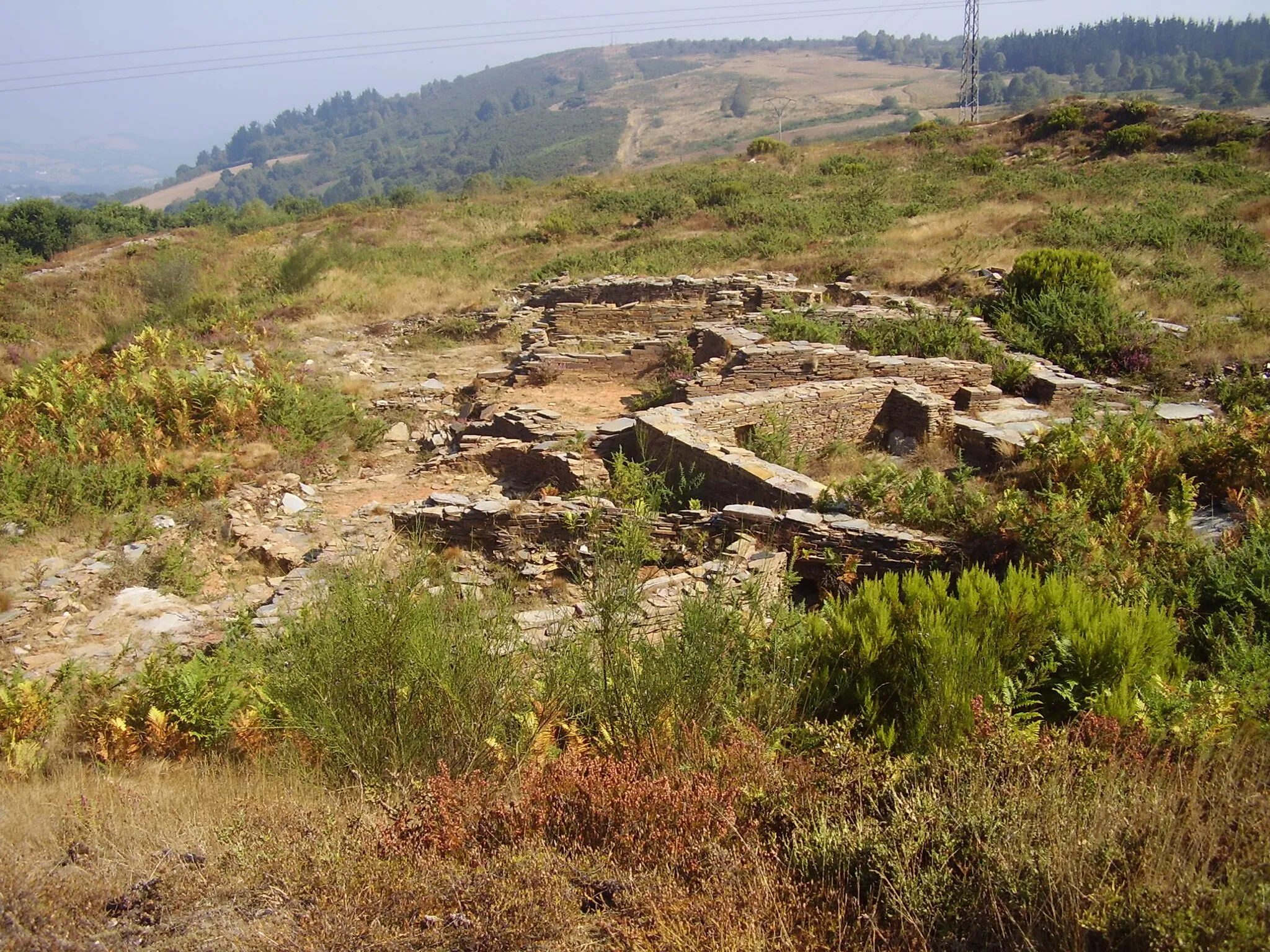 Photo showing: Vivendas do castro de Formigueiros no concello de Samos.