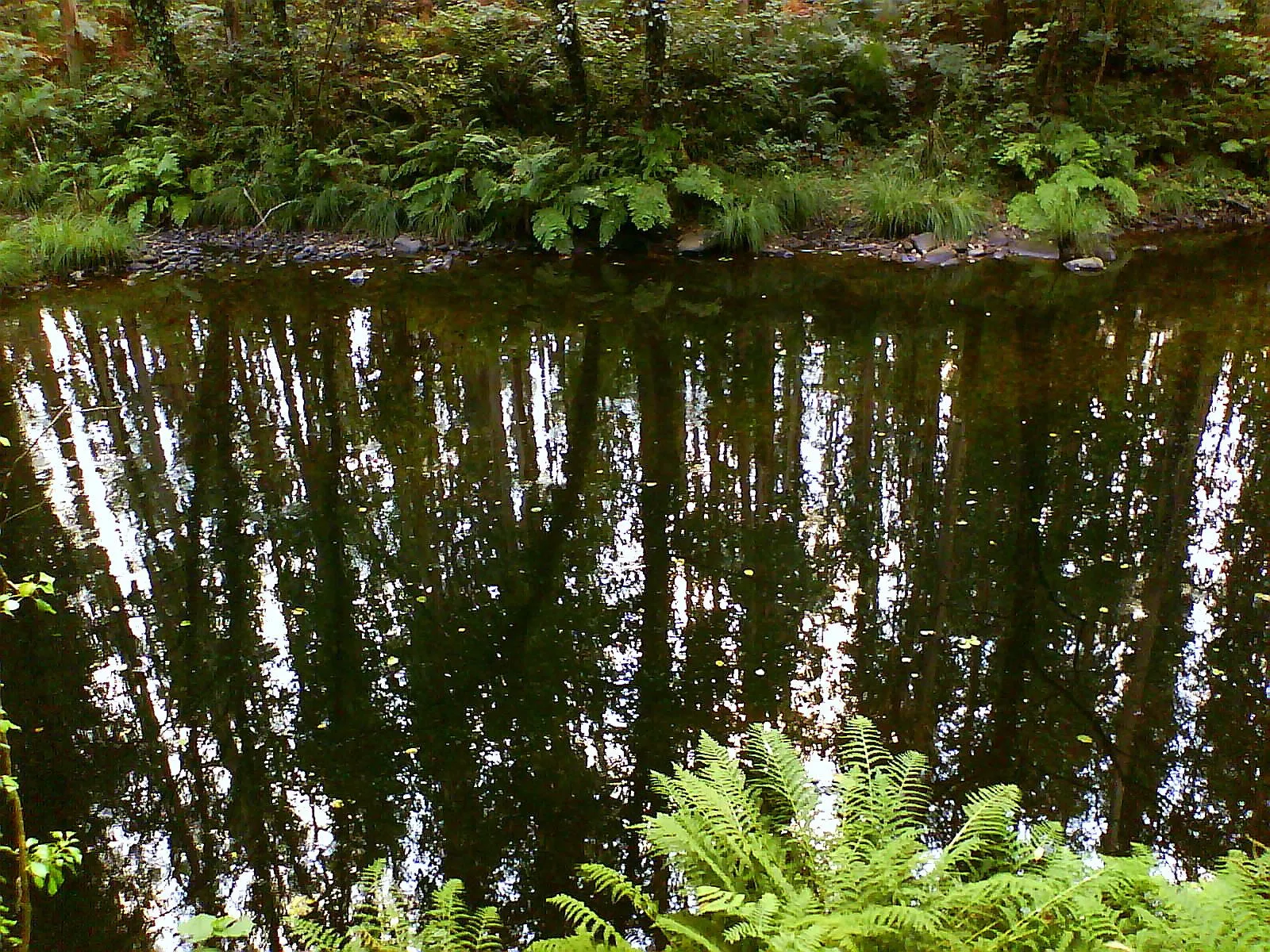 Photo showing: Reflexos no río Mandeo. Aranga. Galicia