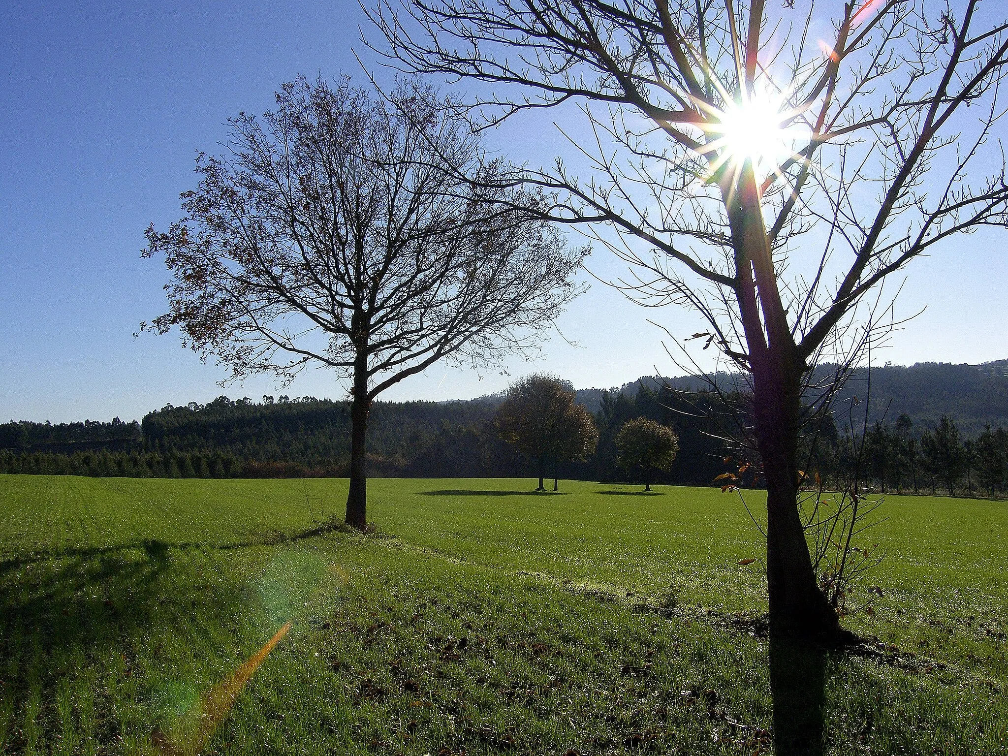 Photo showing: Ledoira, Frades, A Coruña