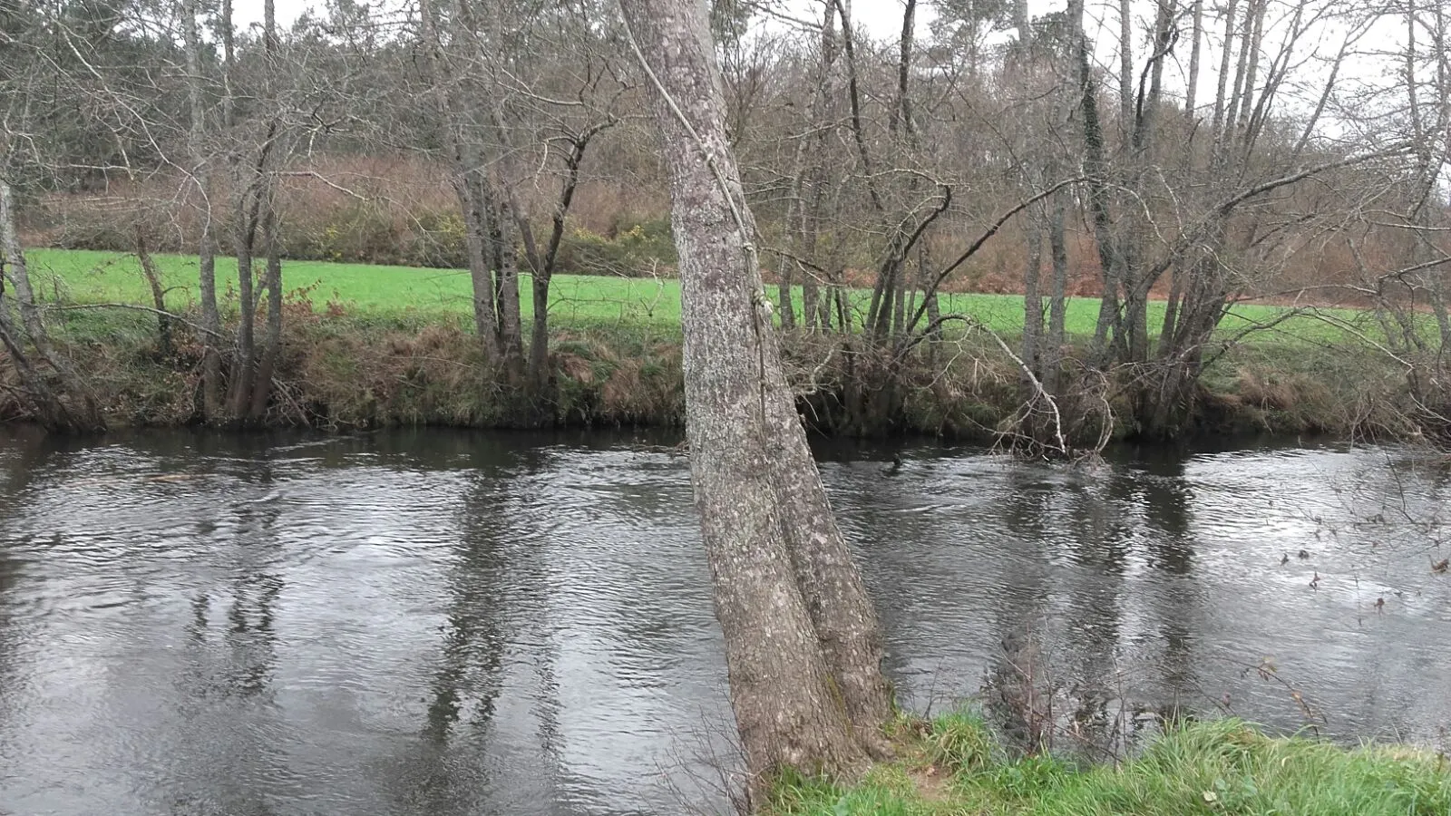 Photo showing: Río Lengüelle, que pasa por Vilacide de Abaixo ata xuntarse co Tambre.