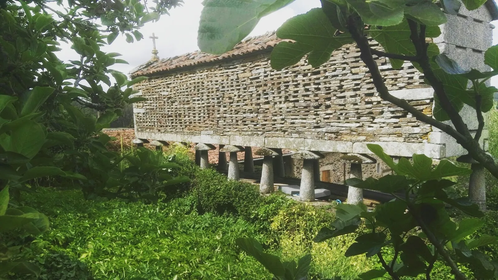 Photo showing: Son moitos os hórreos que podemos ver ao longo da xeografía galega, Coristanco preséntanos una boa mostra deste tipo de construcción tradicionais, como este de Casa Caamaño en Cereo Vello (Cereo).