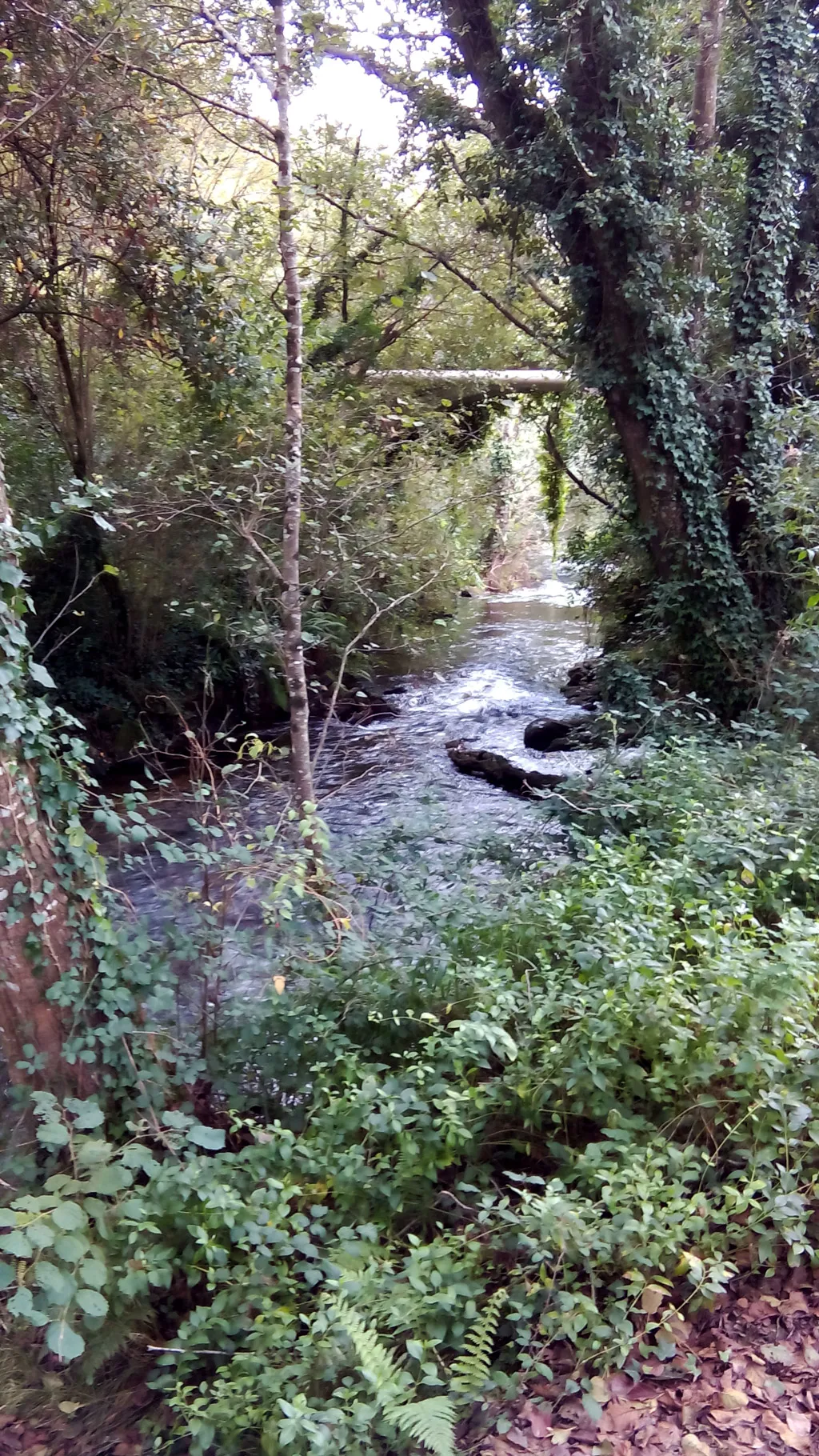 Photo showing: O río Anllóns ao seu paso por Coiro, A Laracha
