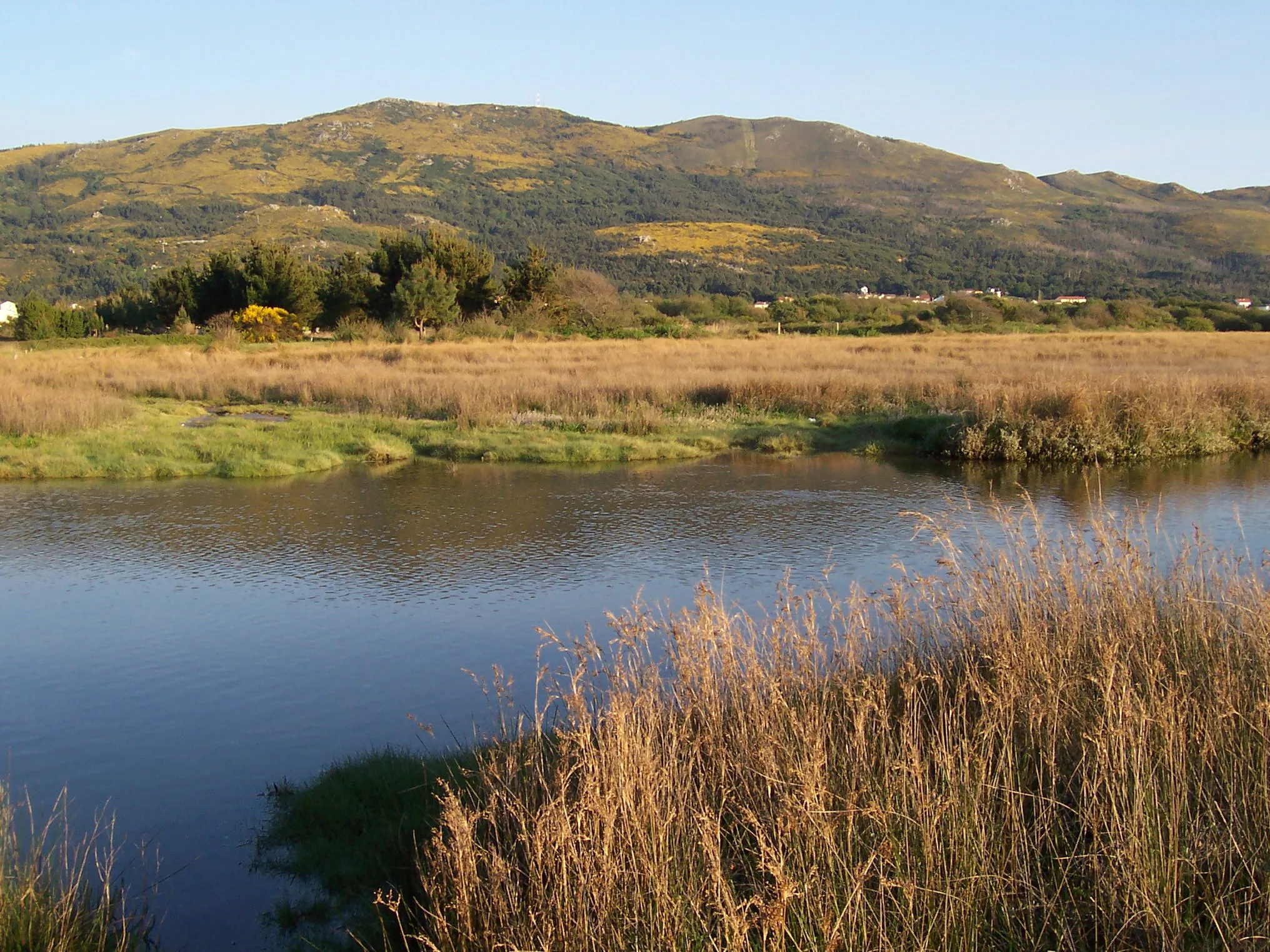 Photo showing: Marisma de Pedrafigueira, Carnota