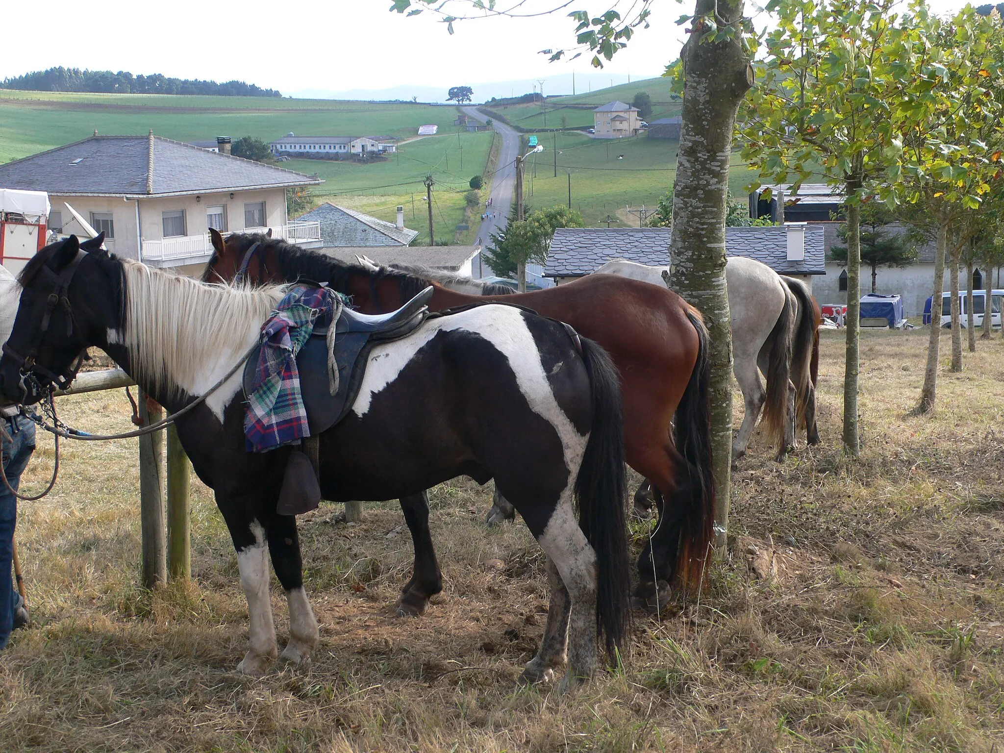 Photo showing: Feira de cabalos na Augaxosa, A Muxueira, Riotorto