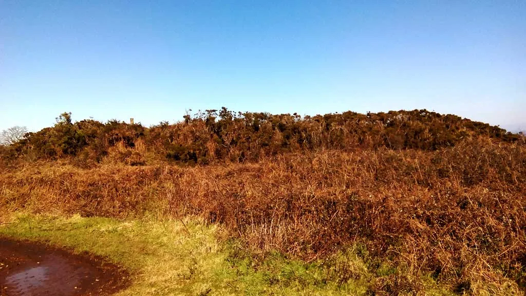 Photo showing: Vista de Castro Maior, Abegondo.