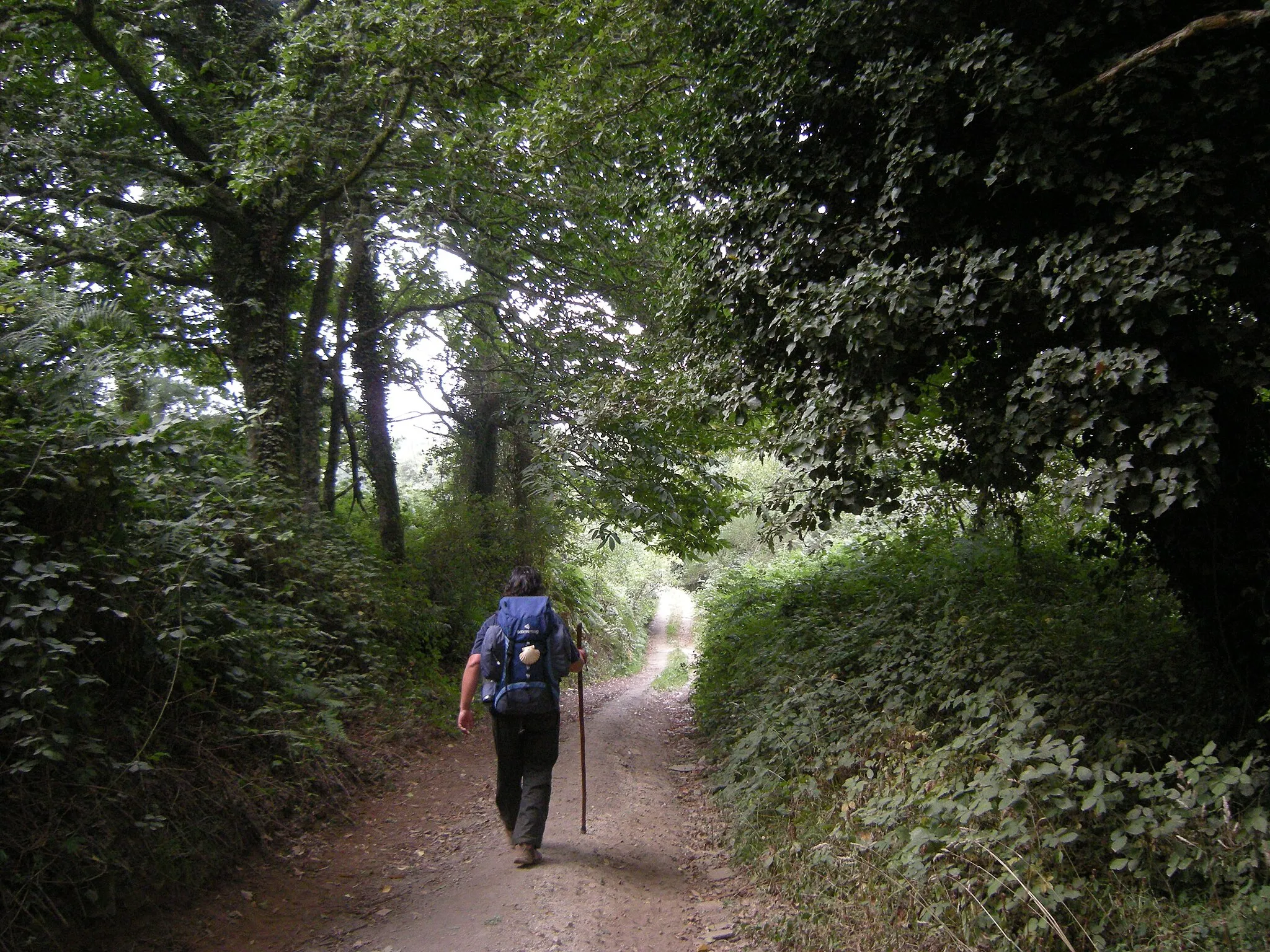 Photo showing: Camino del Norte