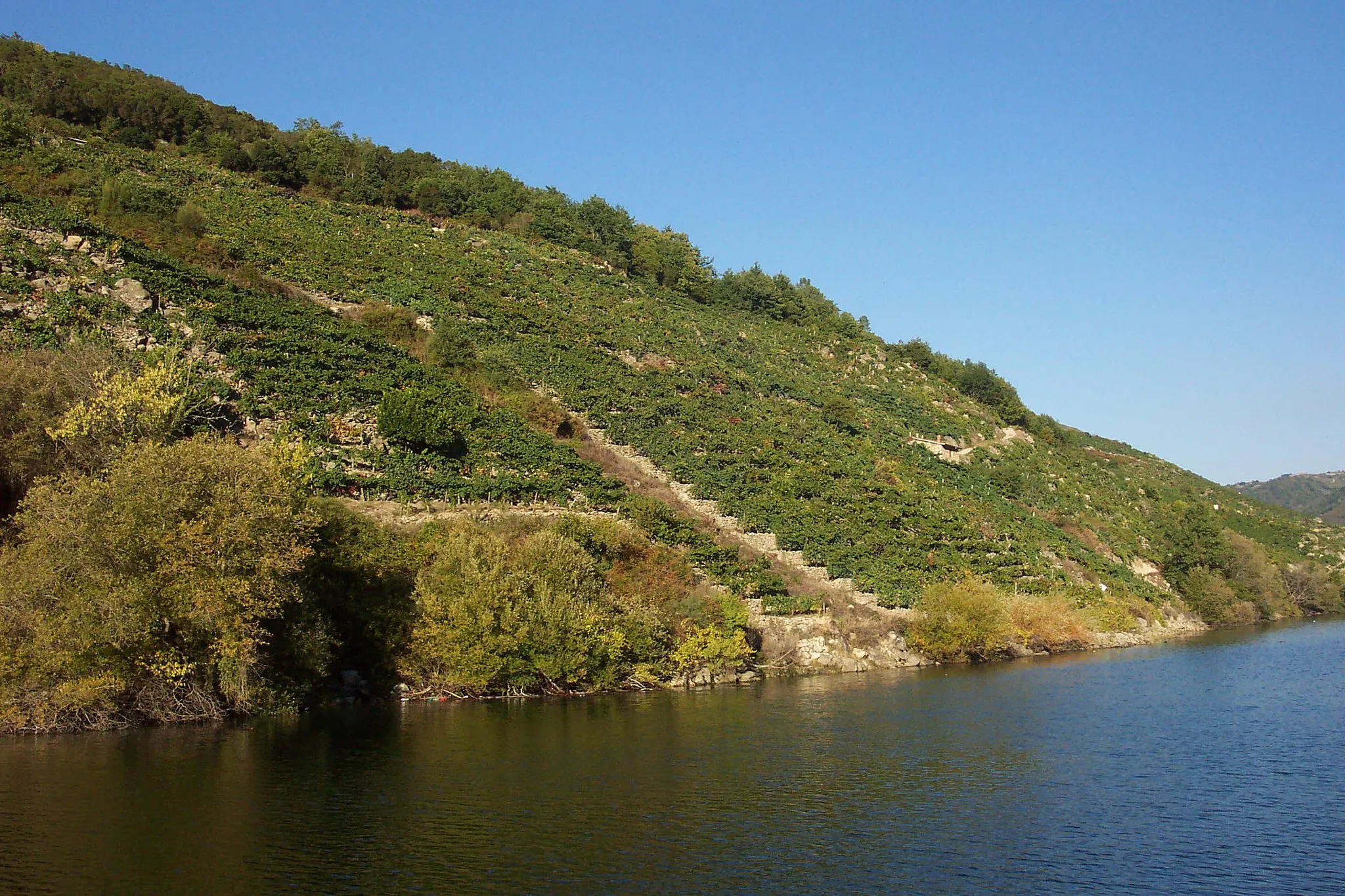 Photo showing: Canón do Sil, Spain