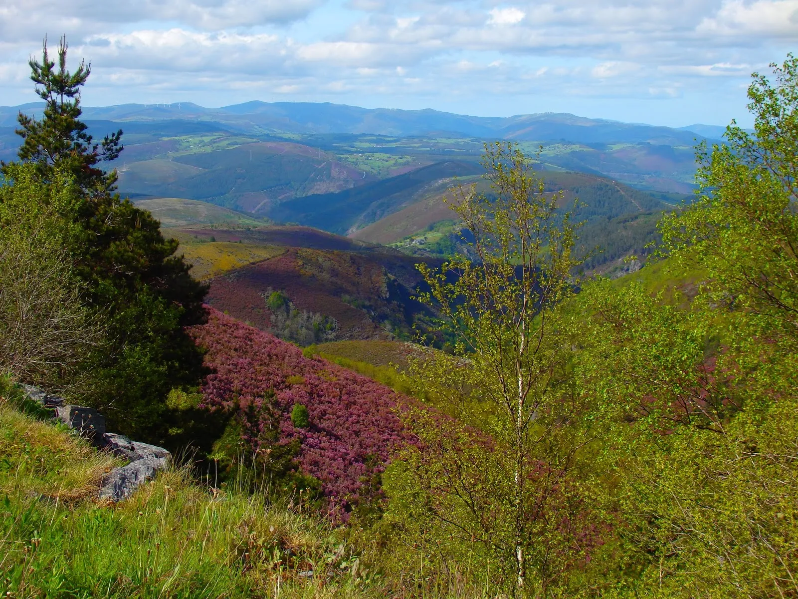 Photo showing: Paisaxe das montañas do concello da Fonsagrada.