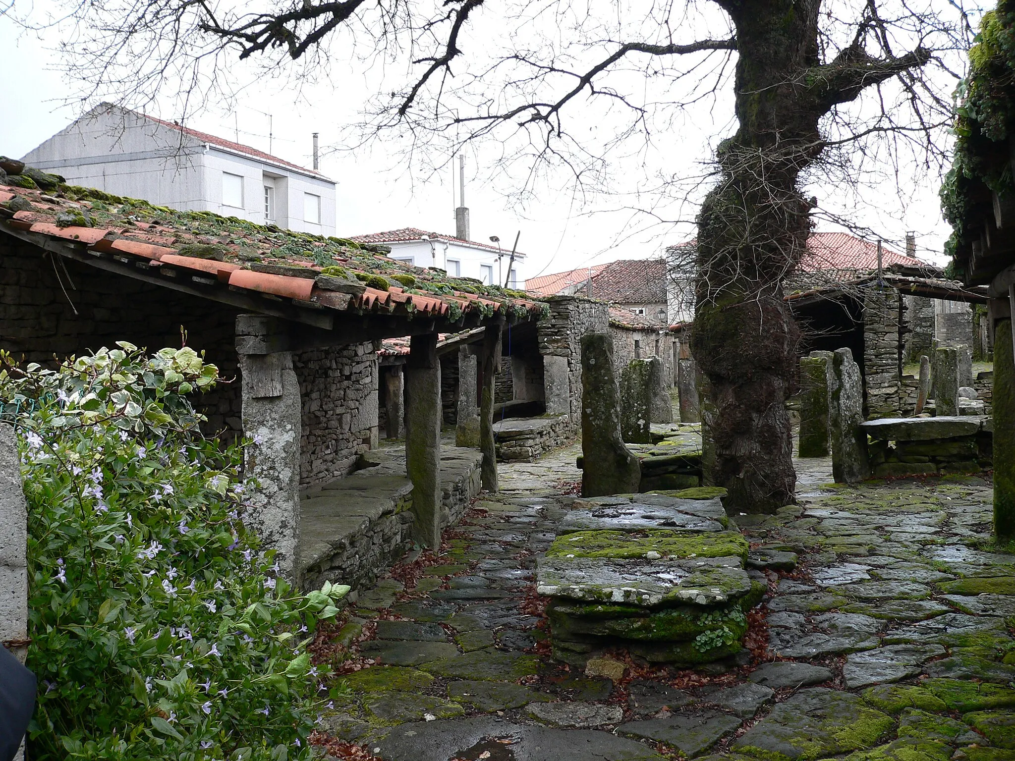 Photo showing: Os pendellos de VILA DE CRUCES