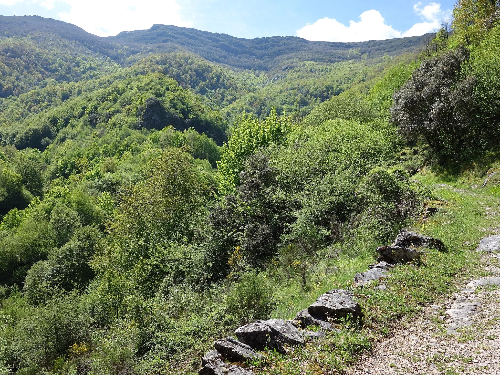 Photo showing: This is a photography of a Special Area of Conservation in Spain with the ID: