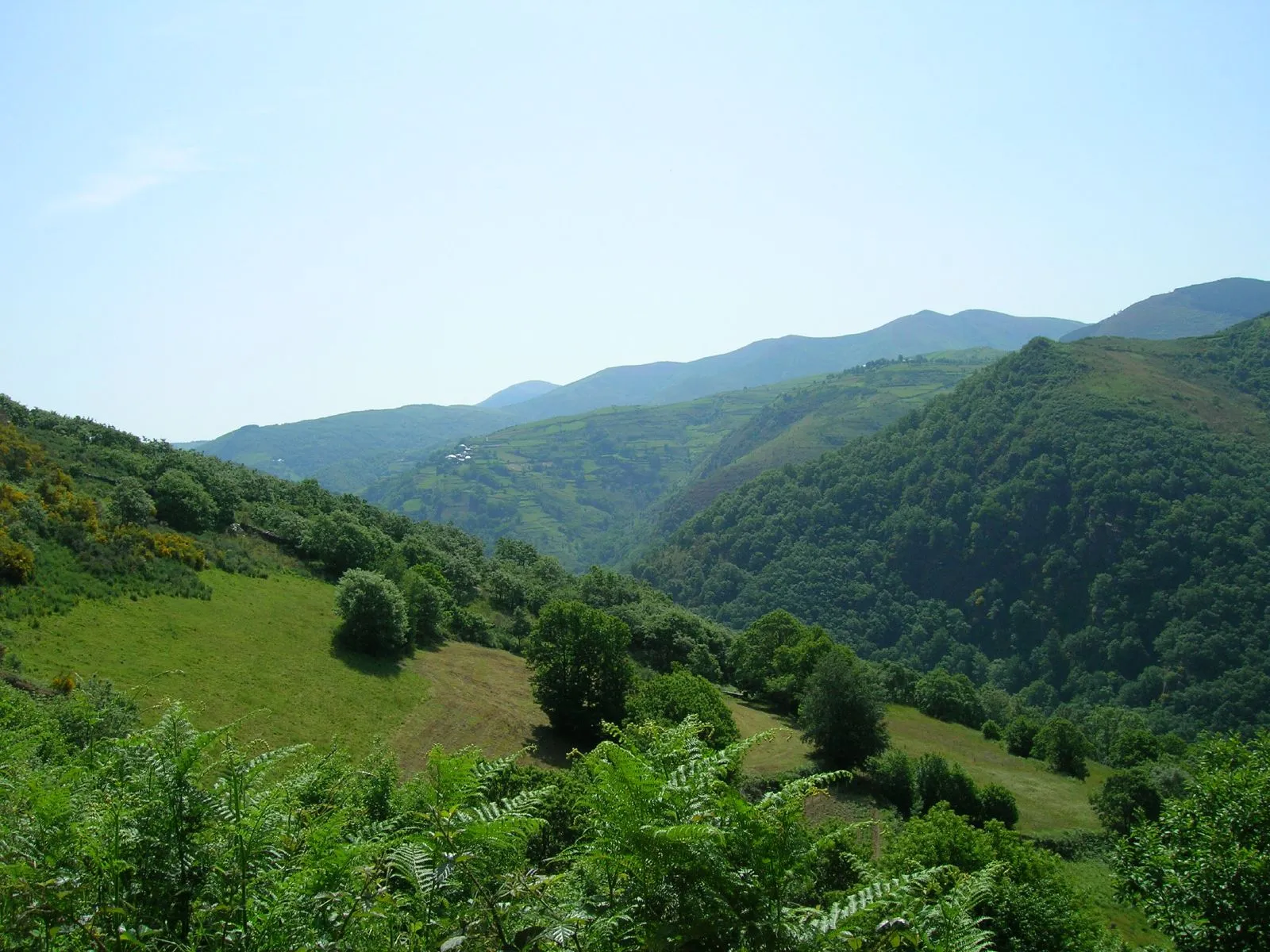 Photo showing: Serra do Courel, Galicia (Spain)