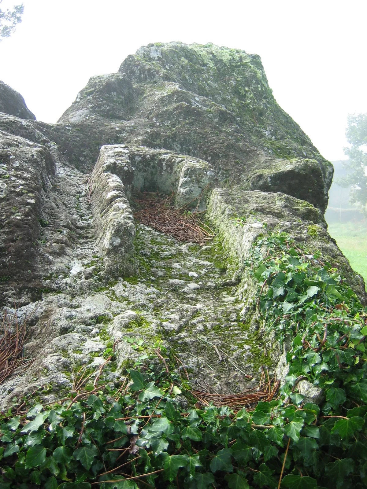 Photo showing: Pedra do Home, en Portomouro (Val do Dubra).