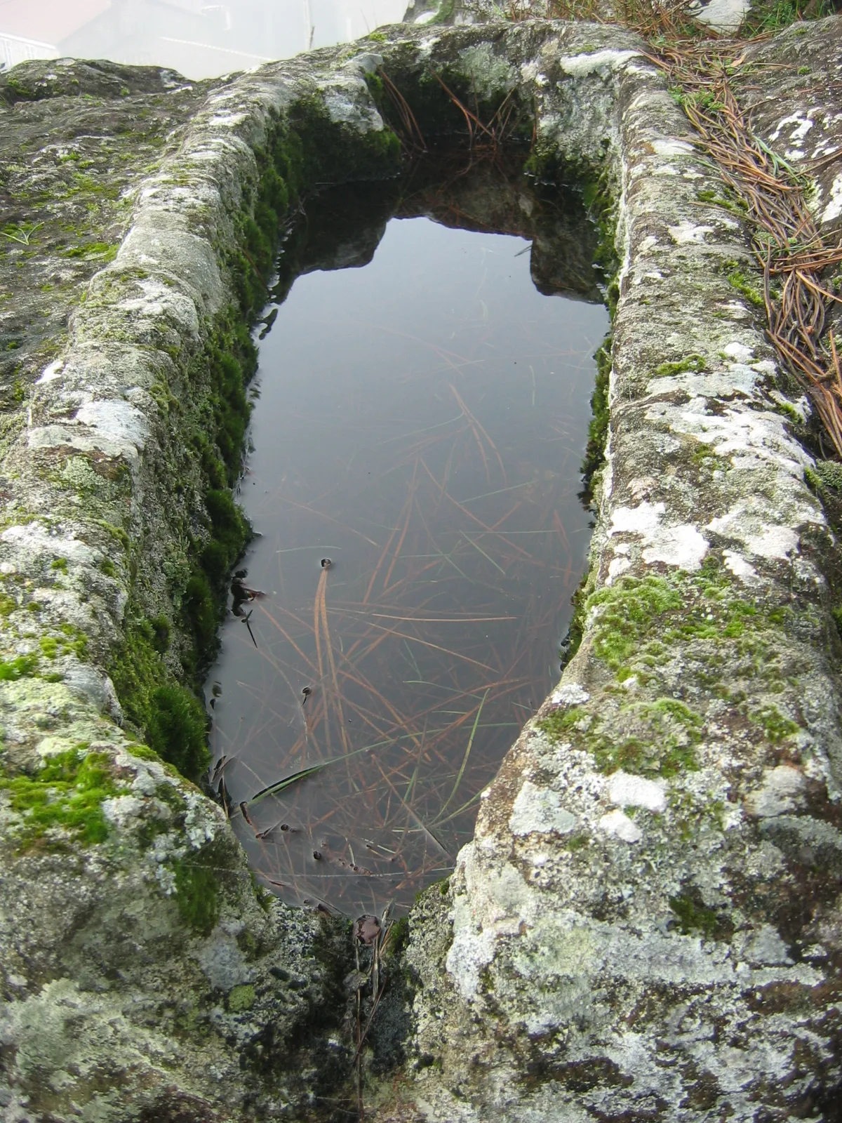 Photo showing: Pedra do Home, en Portomouro (Val do Dubra).