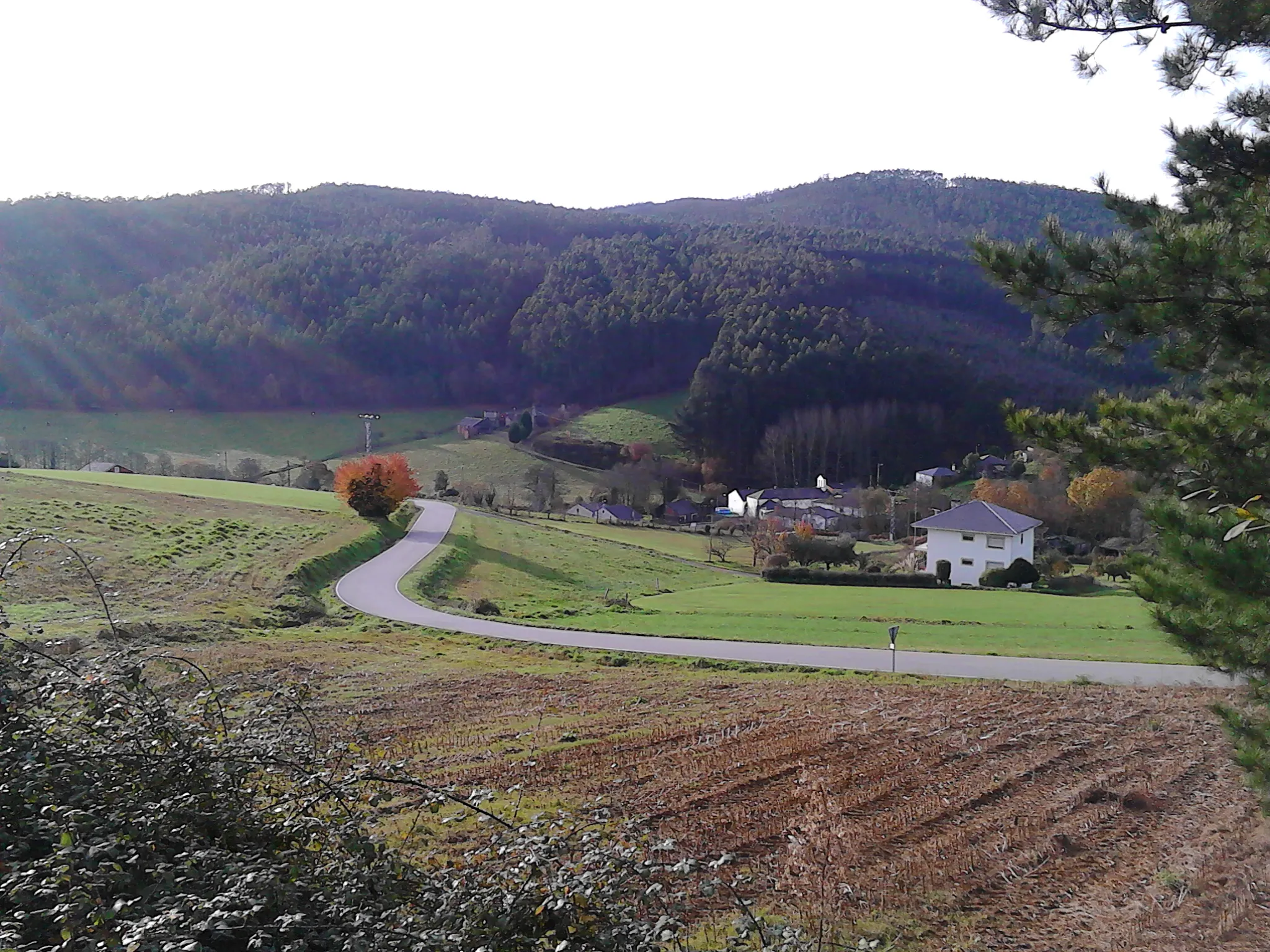 Photo showing: Val do río Grande na Ponte (Arante, Ribadeo) dende a estrada LU-133. O río Lexoso (dereita da foto) e o rego de Arante (fondo dereita) forman o río Grande (esquerda). A confluencia marca o límite entre as parroquias de Covelas (ó pé da foto), Arante (fondo dereita) e Cedofeita (fondo esquerda)