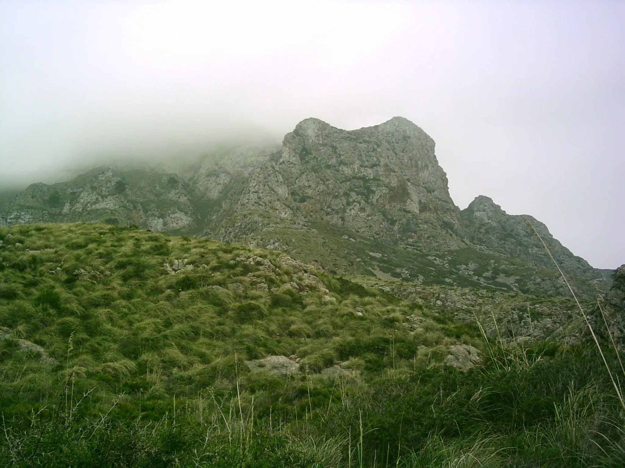 Photo showing: Beschreibung:

mountains by de:Artà, Mallorca, Spain
Quelle:
Fotografiert im März 2006
Fotograf:
Alma
