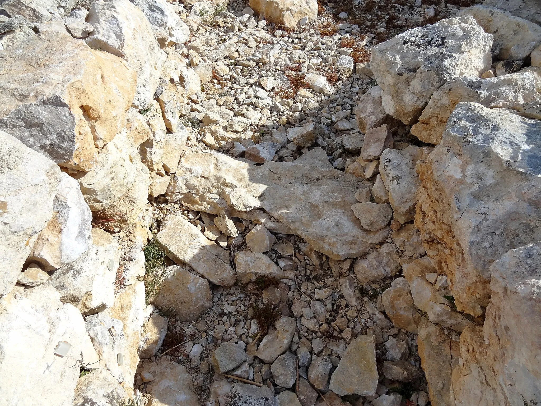 Photo showing: Talaiot auf dem Puig Figuer, Gemeinde Artà, Mallorca, Spanien