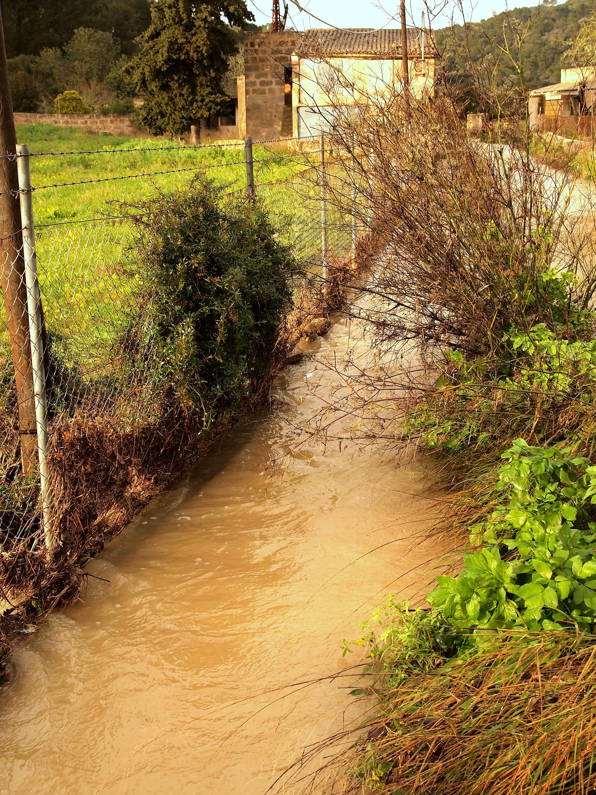 Photo showing: Torrent de Ferrutxelles que baixa de la Serra de Galdent, entre Llucmajor i Algaida (Mallorca) (21 gener 2017).