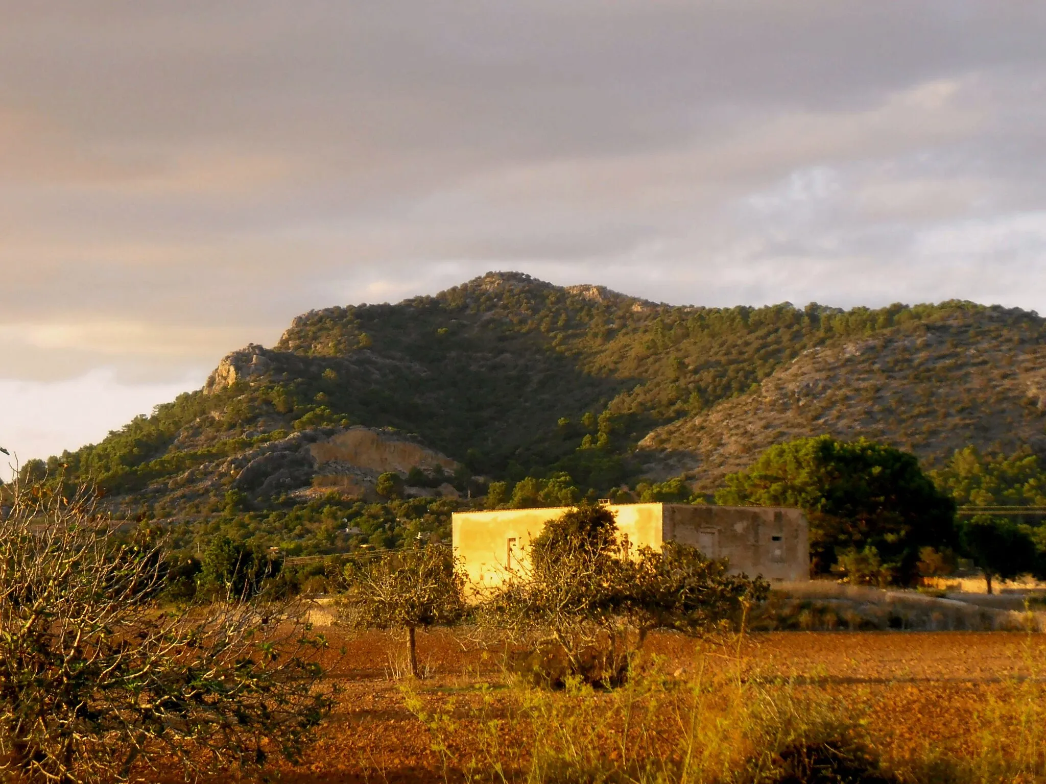 Photo showing: Puig situat al ponent de la Serra de Galdent, al massís de Randa, entre els termes municipals de Llucmajor i Algaida.