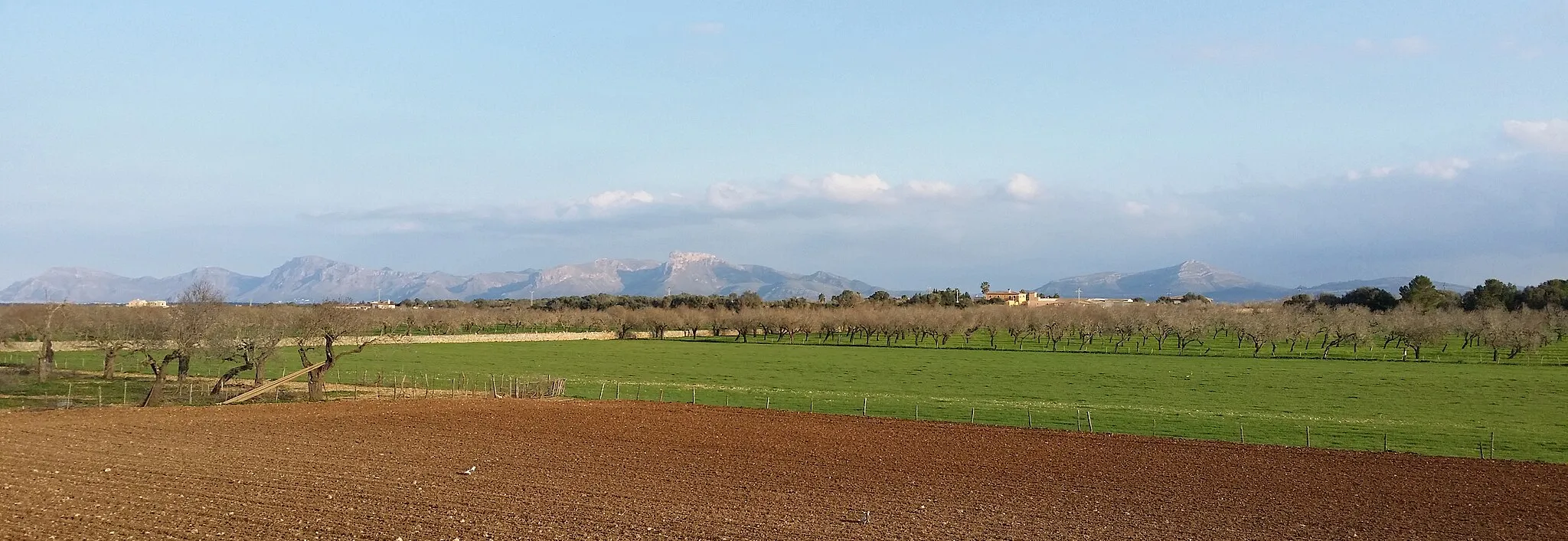 Photo showing: Blick auf das Bergmassiv von Arta und den Puig d'Alpara, Mallorca, Spanien.