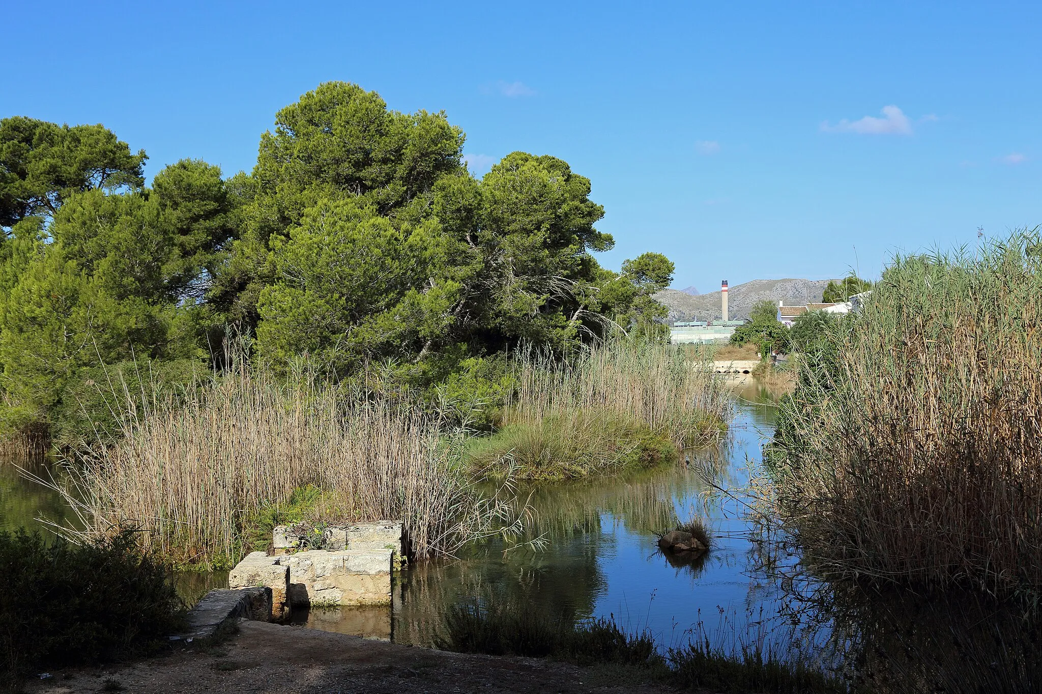 Photo showing: S'Albufera nature reserve on the island of Majorca (Spain)