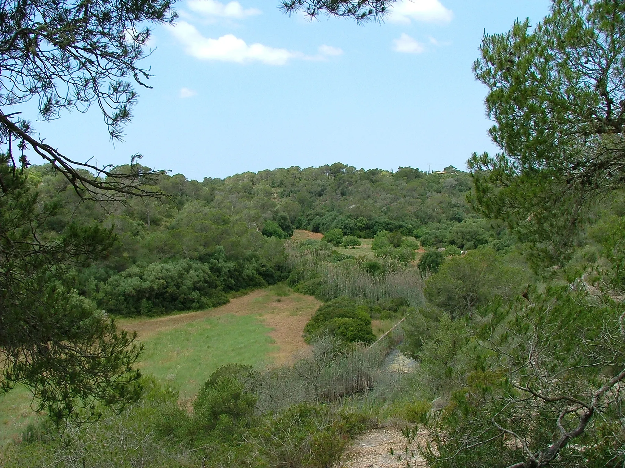 Photo showing: Torrent d'en Roig im Parc natural de Mondragó — Santanyí, Mallorca.