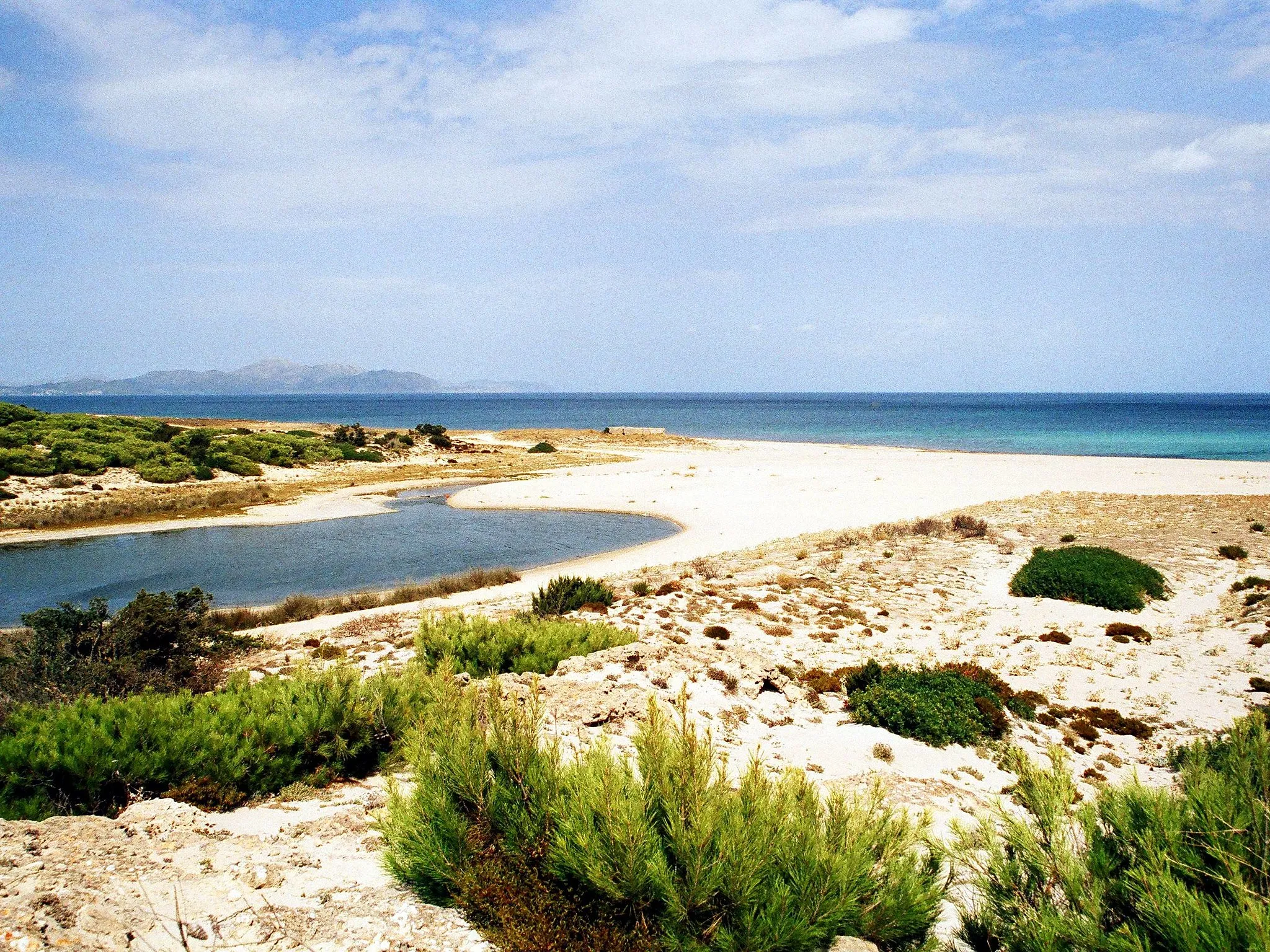 Photo showing: Platja de son Real, Strand an der Bucht von Alcudia, Mallorca (Balearen)