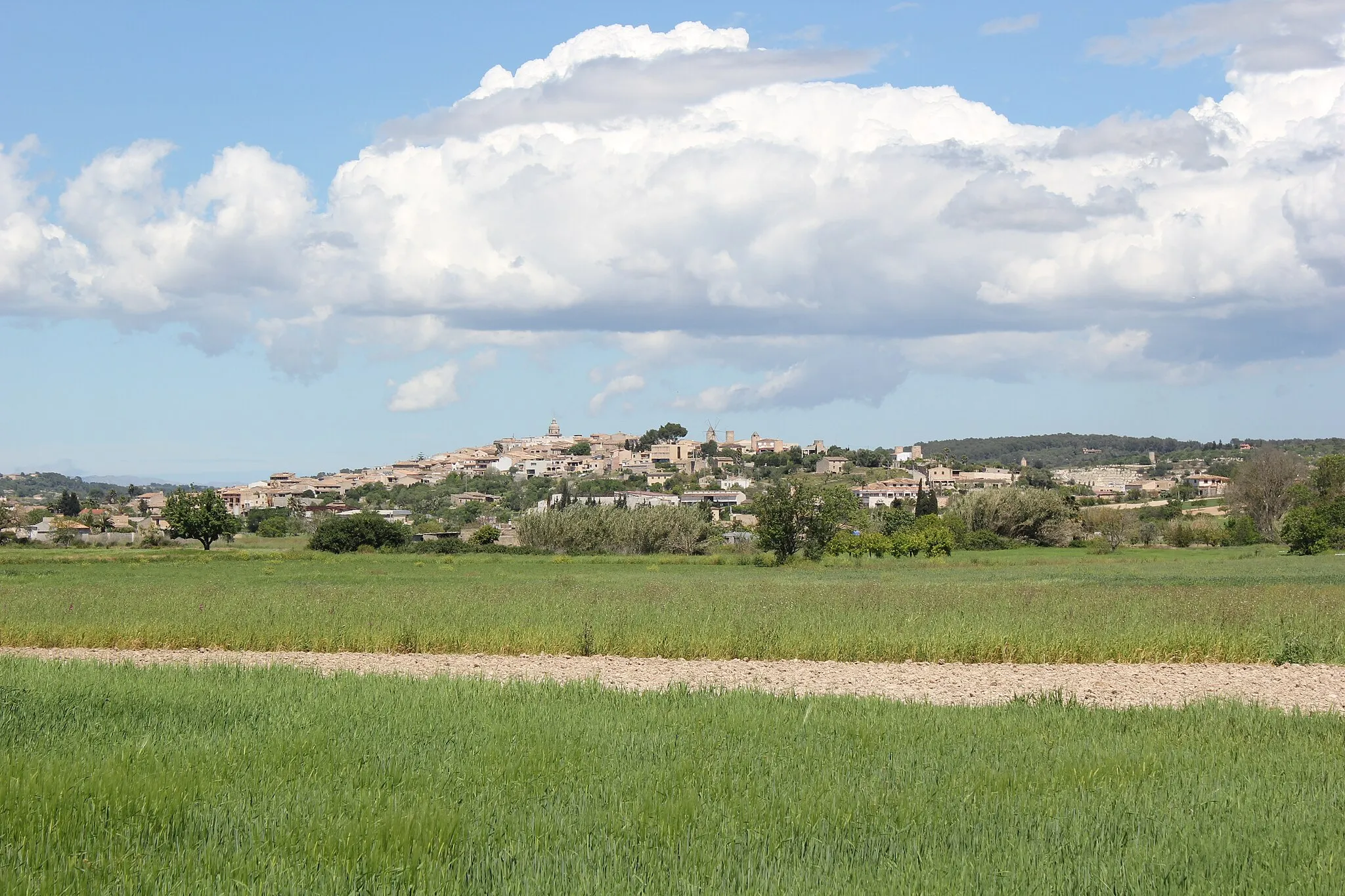 Photo showing: Vista de Montuïri