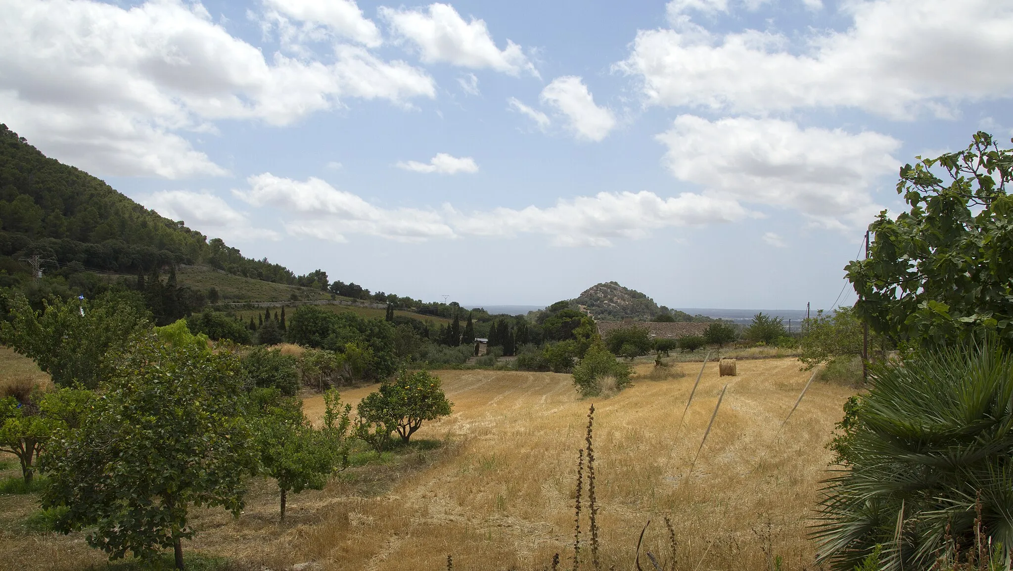 Photo showing: Algaida, Balearic Islands, Spain