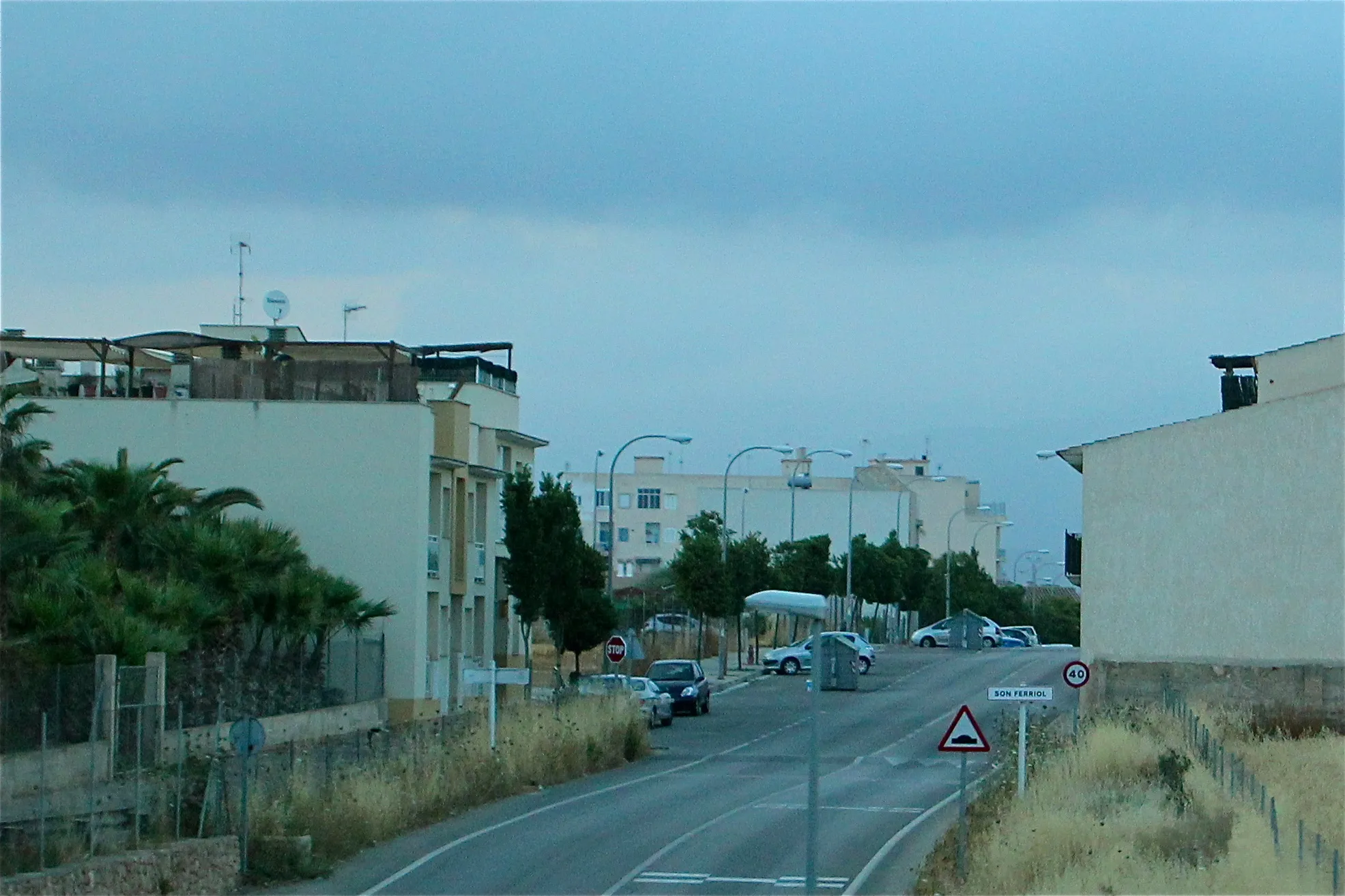 Photo showing: Entrada a Son Ferriol pel Camí de Son Banya